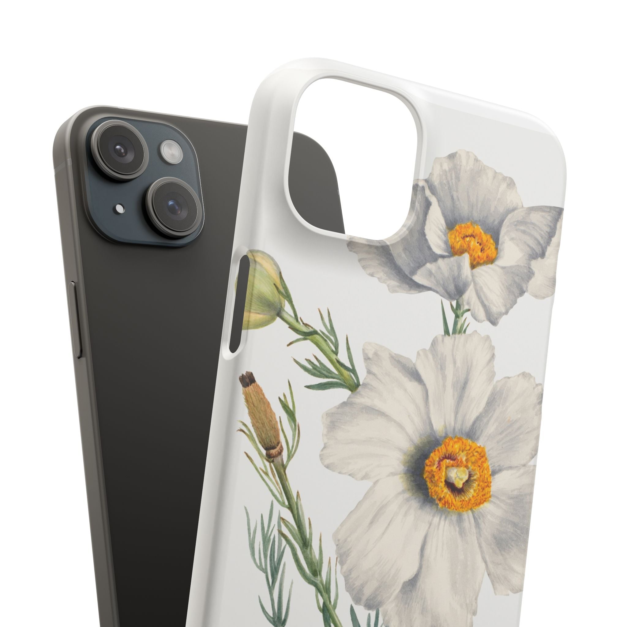 Matilija Poppy by Mary Vaux Walcott - Snap Case