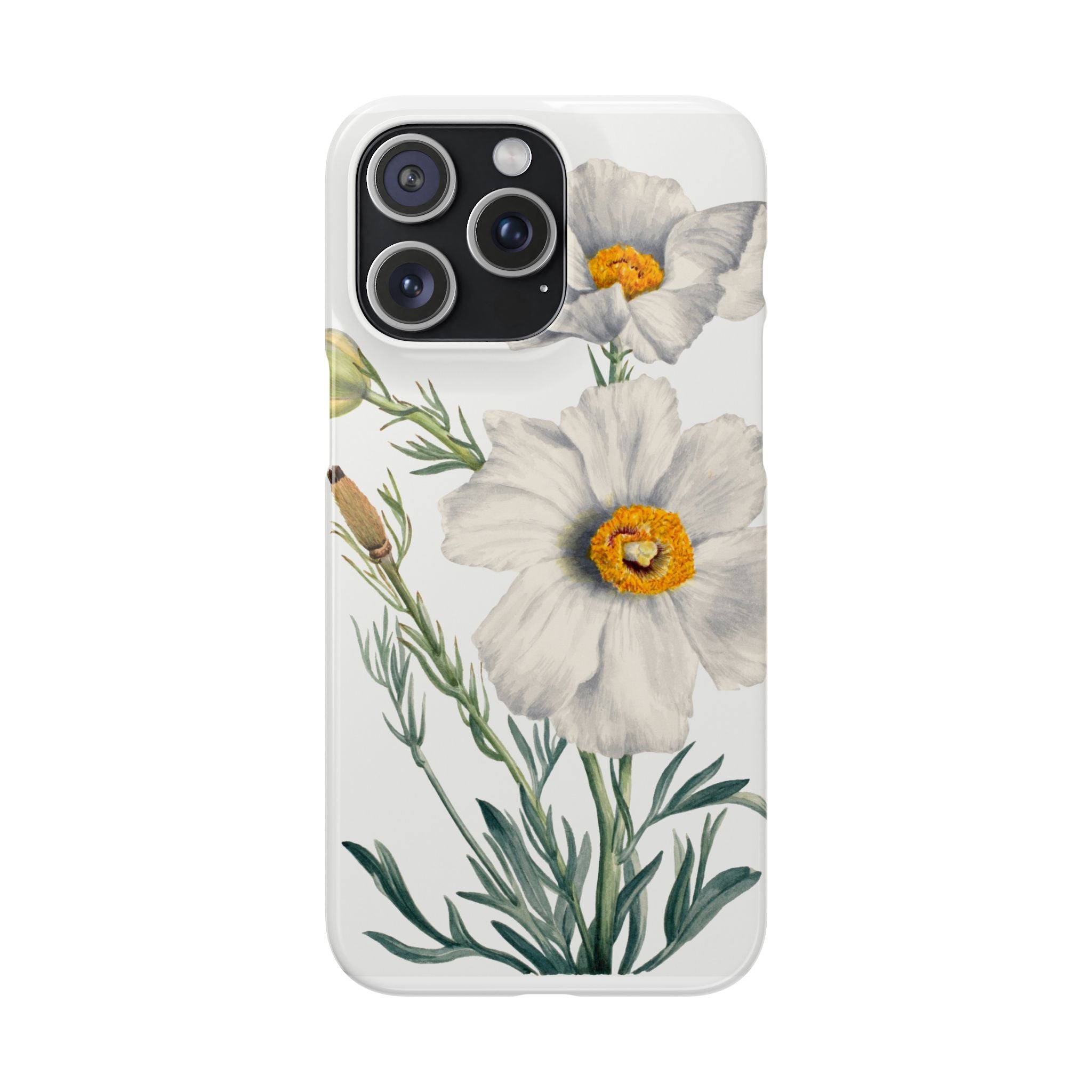 Matilija Poppy by Mary Vaux Walcott - Snap Case