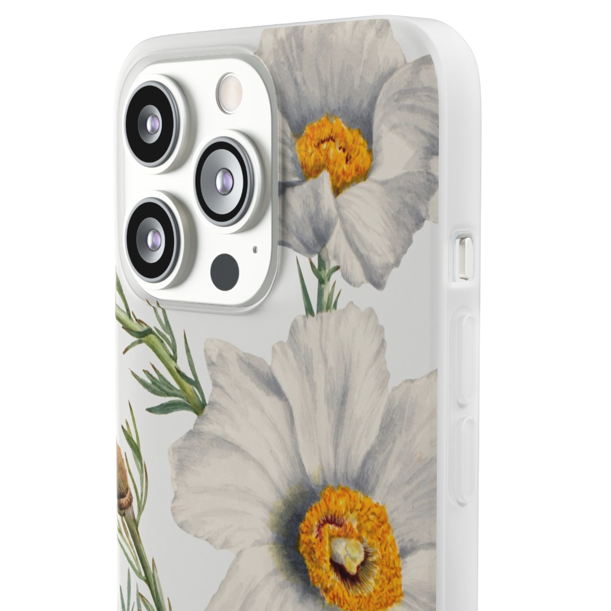 Matilija Poppy by Mary Vaux Walcott - Flexi Case