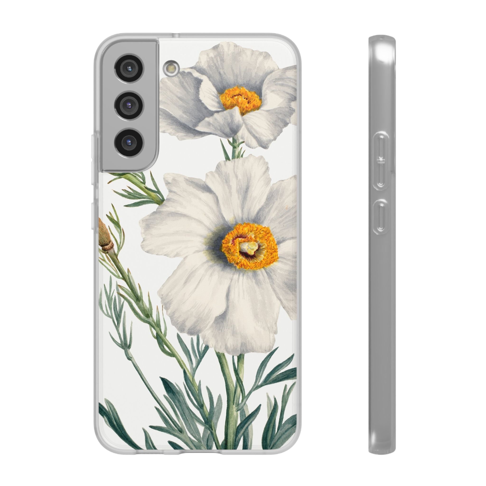 Matilija Poppy by Mary Vaux Walcott - Flexi Case