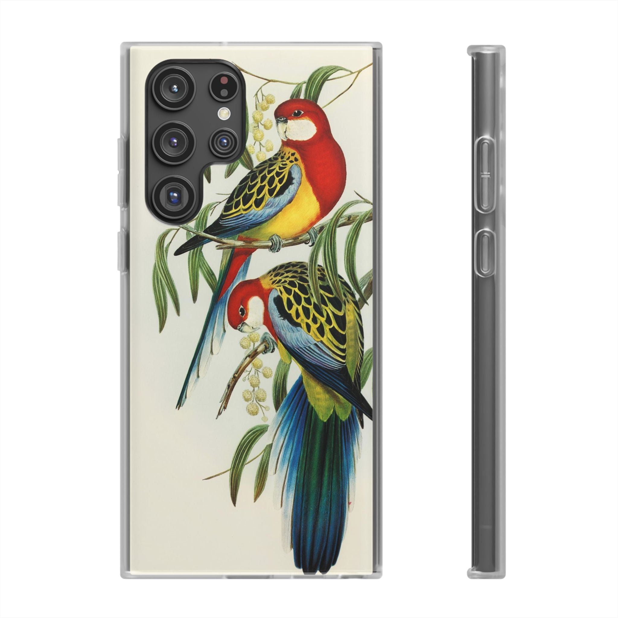 Rosehill Parakeet by Elizabeth Gould - Flexi Case