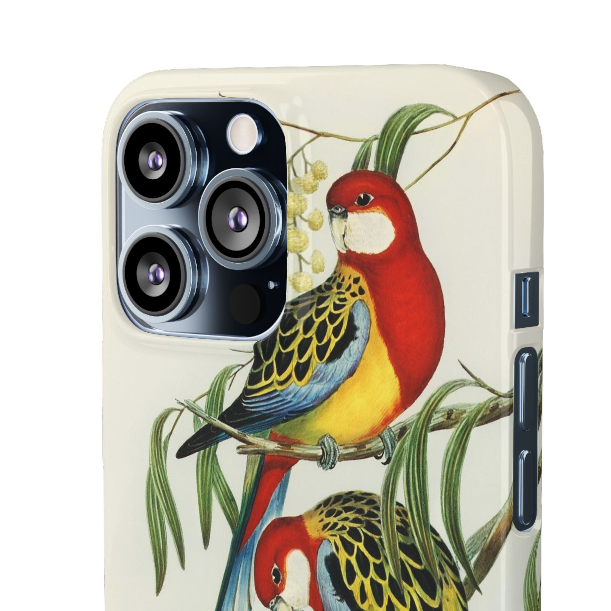 Rosehill Parakeet by Elizabeth Gould - Snap Case