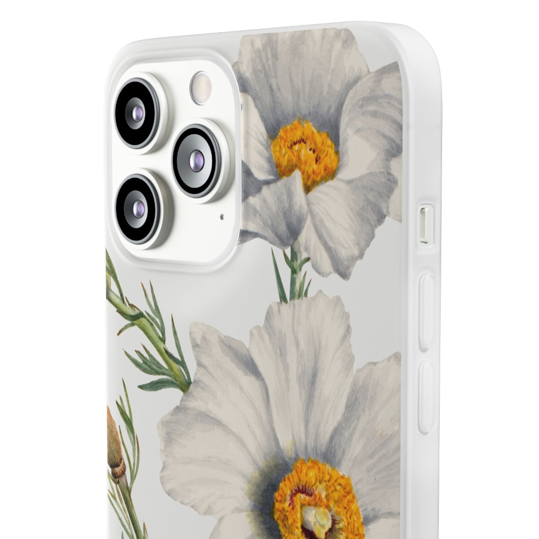 Matilija Poppy by Mary Vaux Walcott - Flexi Case