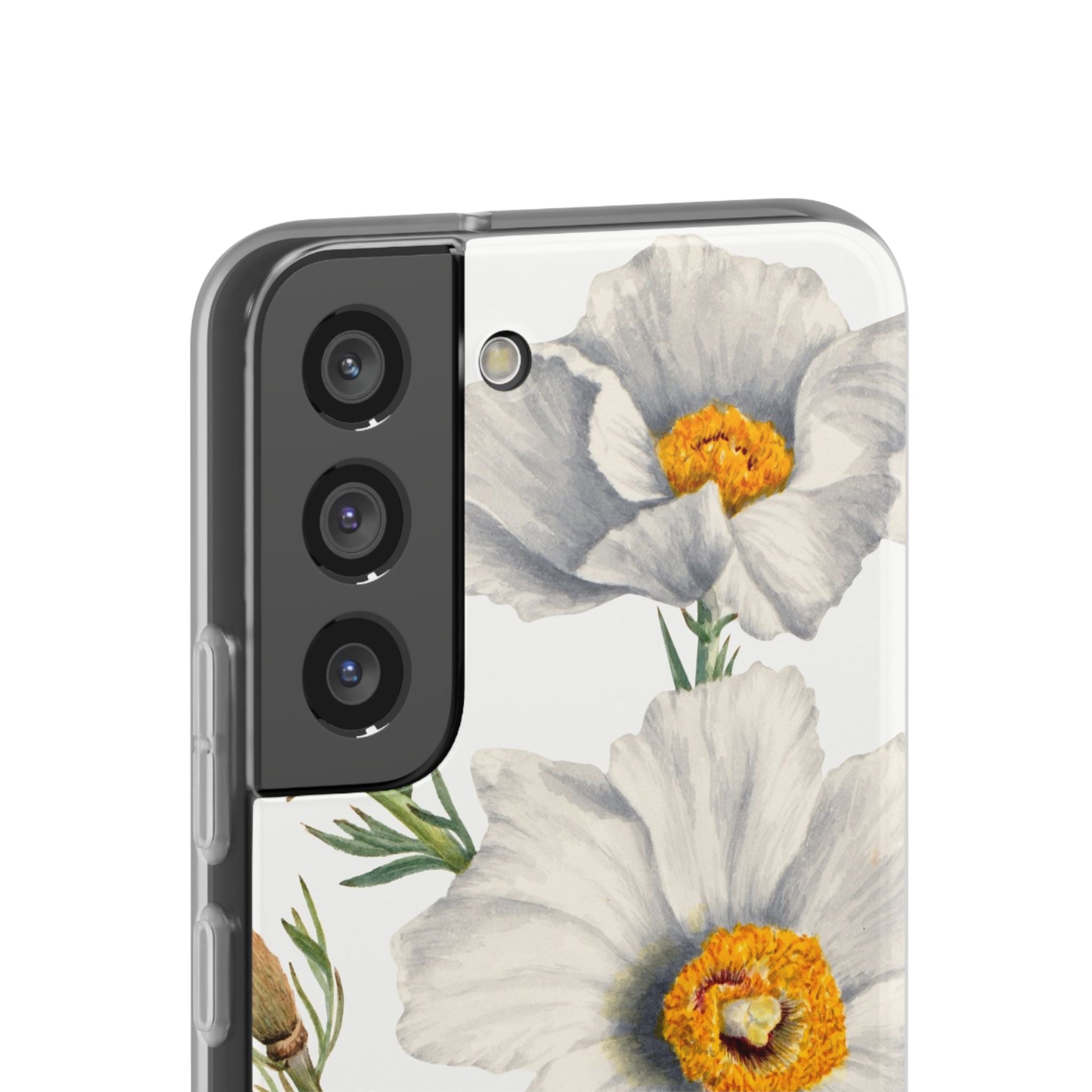 Matilija Poppy by Mary Vaux Walcott - Flexi Case