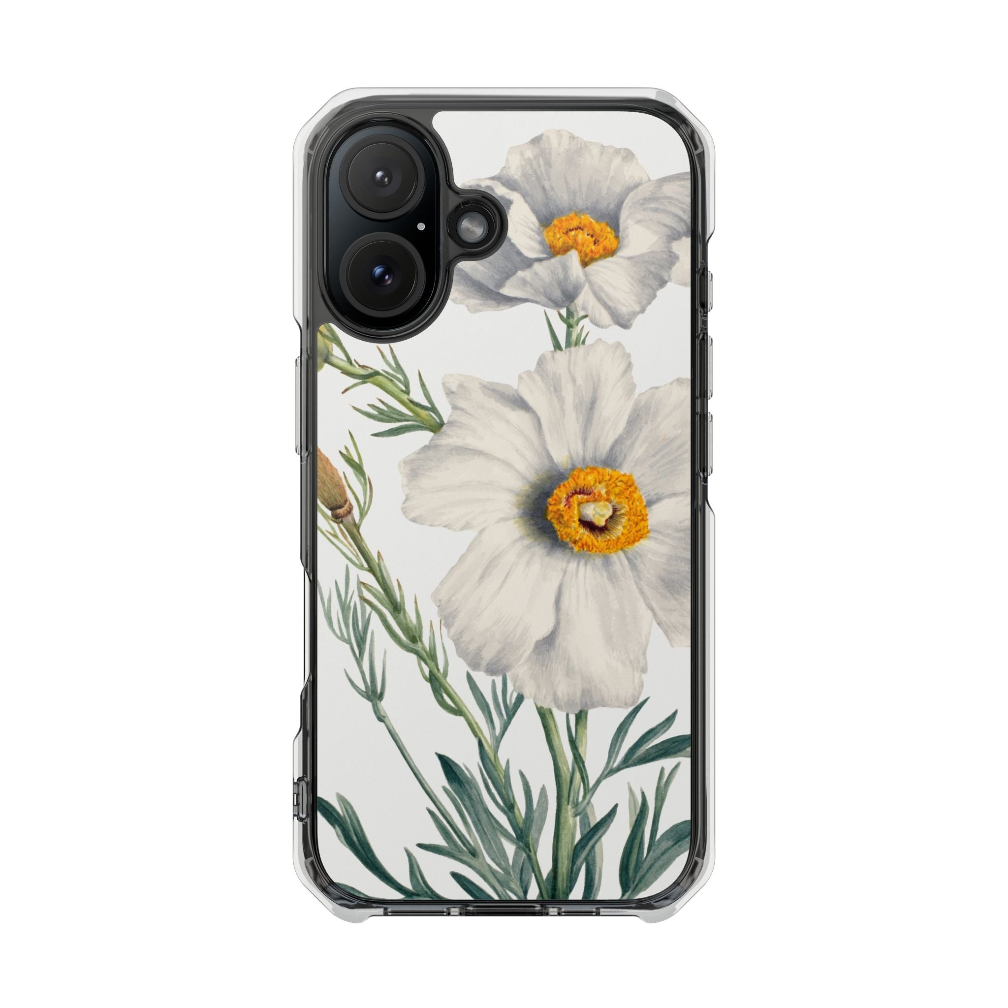 Matilija Poppy by Mary Vaux Walcott - Magnetic Clear Impact Case