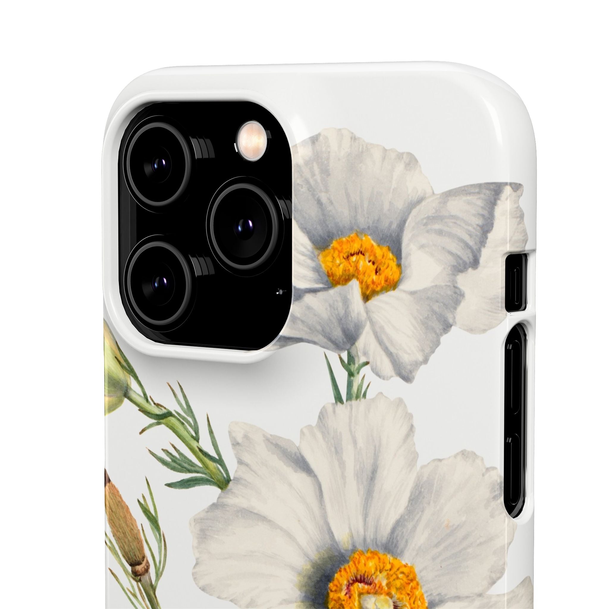 Matilija Poppy by Mary Vaux Walcott - Snap Case