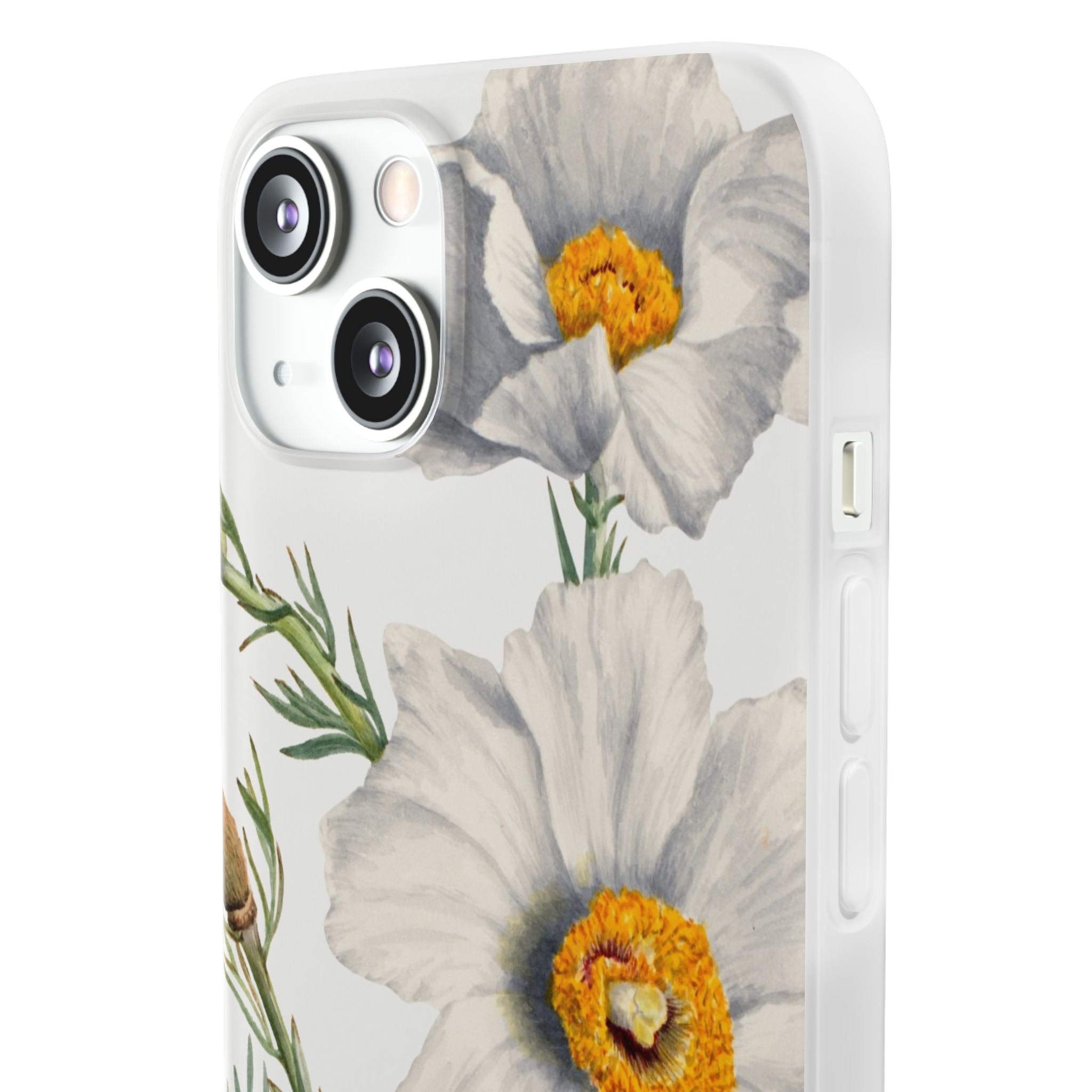 Matilija Poppy by Mary Vaux Walcott - Flexi Case