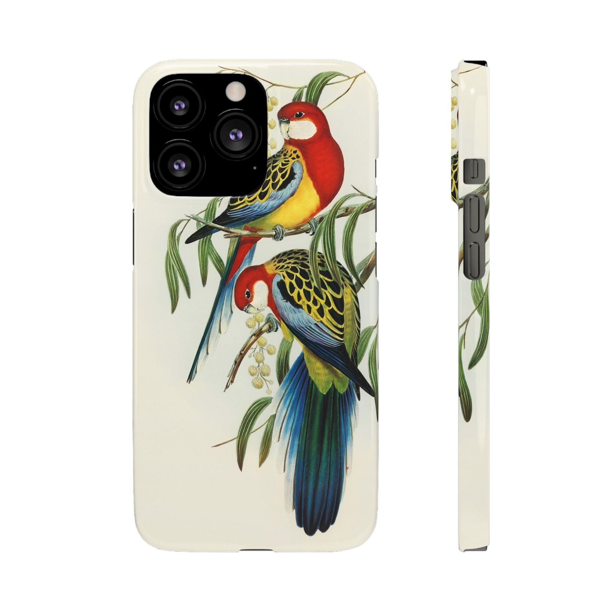 Rosehill Parakeet by Elizabeth Gould - Snap Case