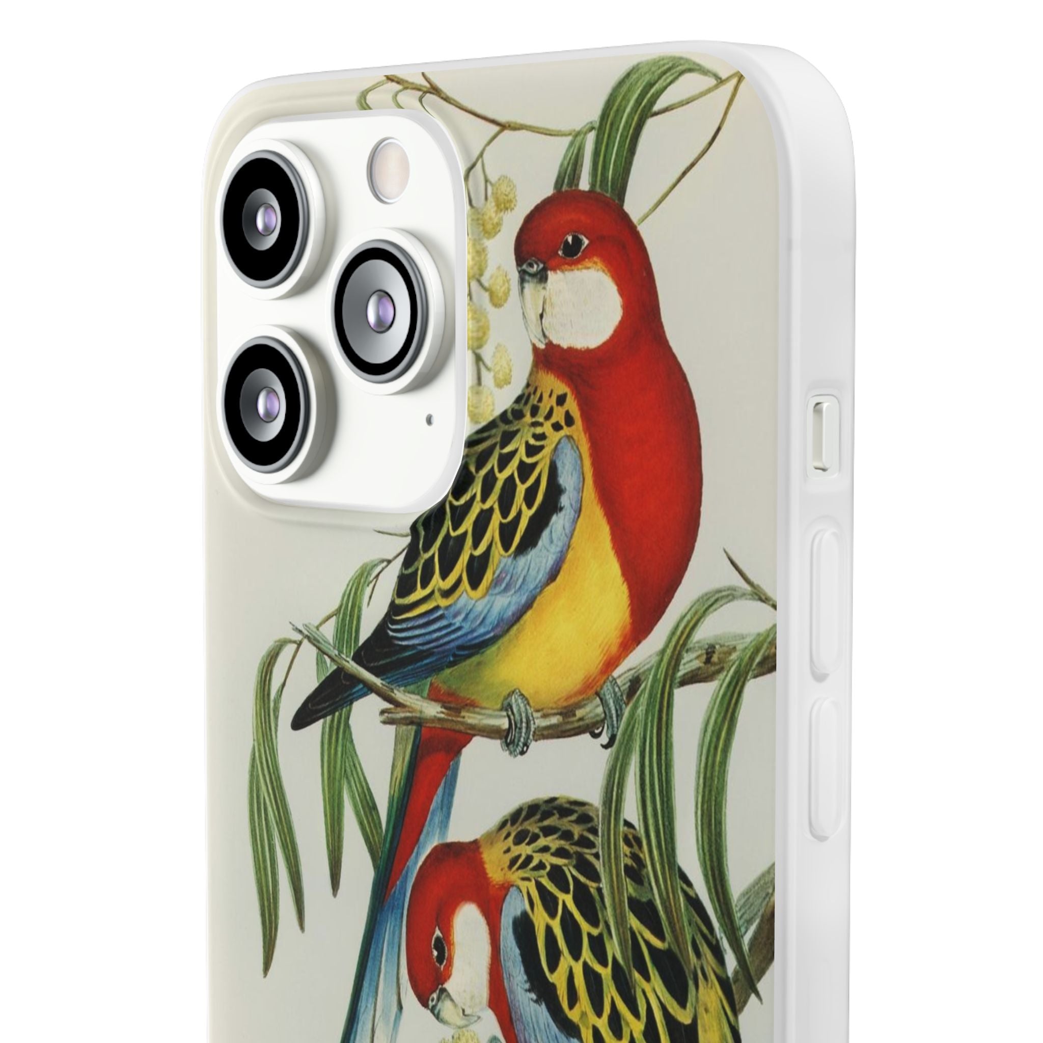 Rosehill Parakeet by Elizabeth Gould - Flexi Case