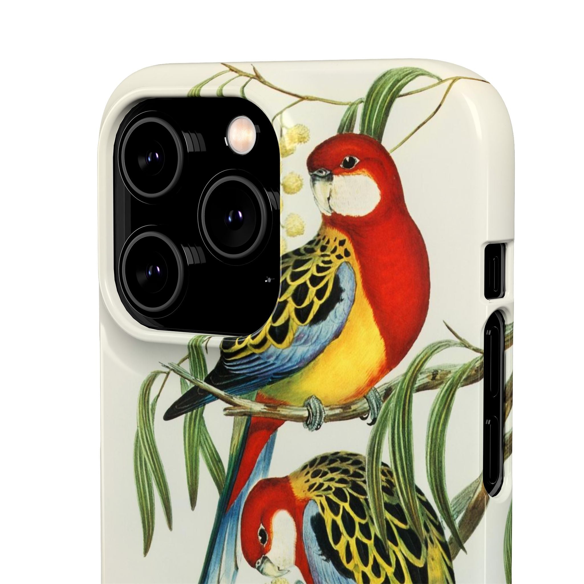 Rosehill Parakeet by Elizabeth Gould - Snap Case