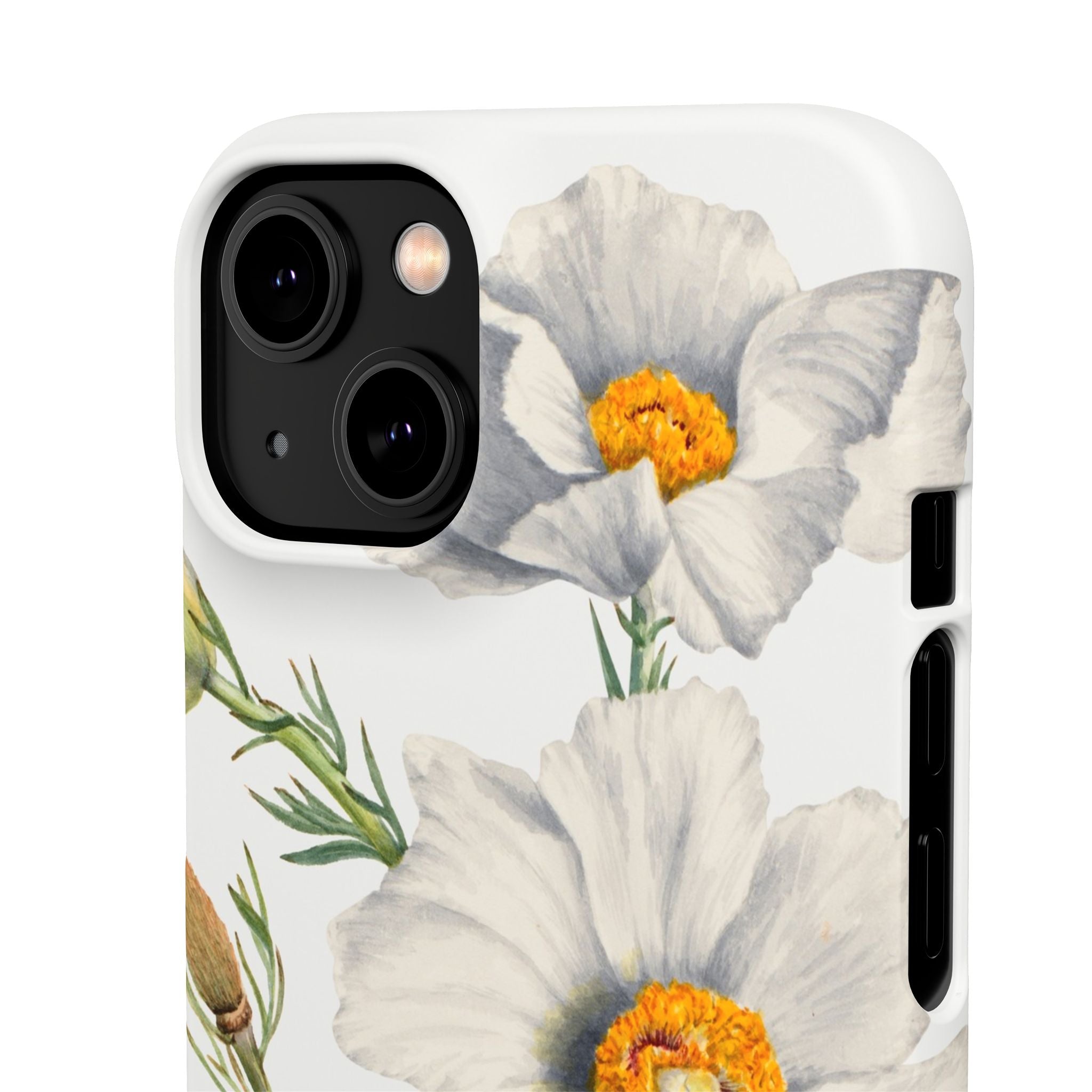 Matilija Poppy by Mary Vaux Walcott - Snap Case