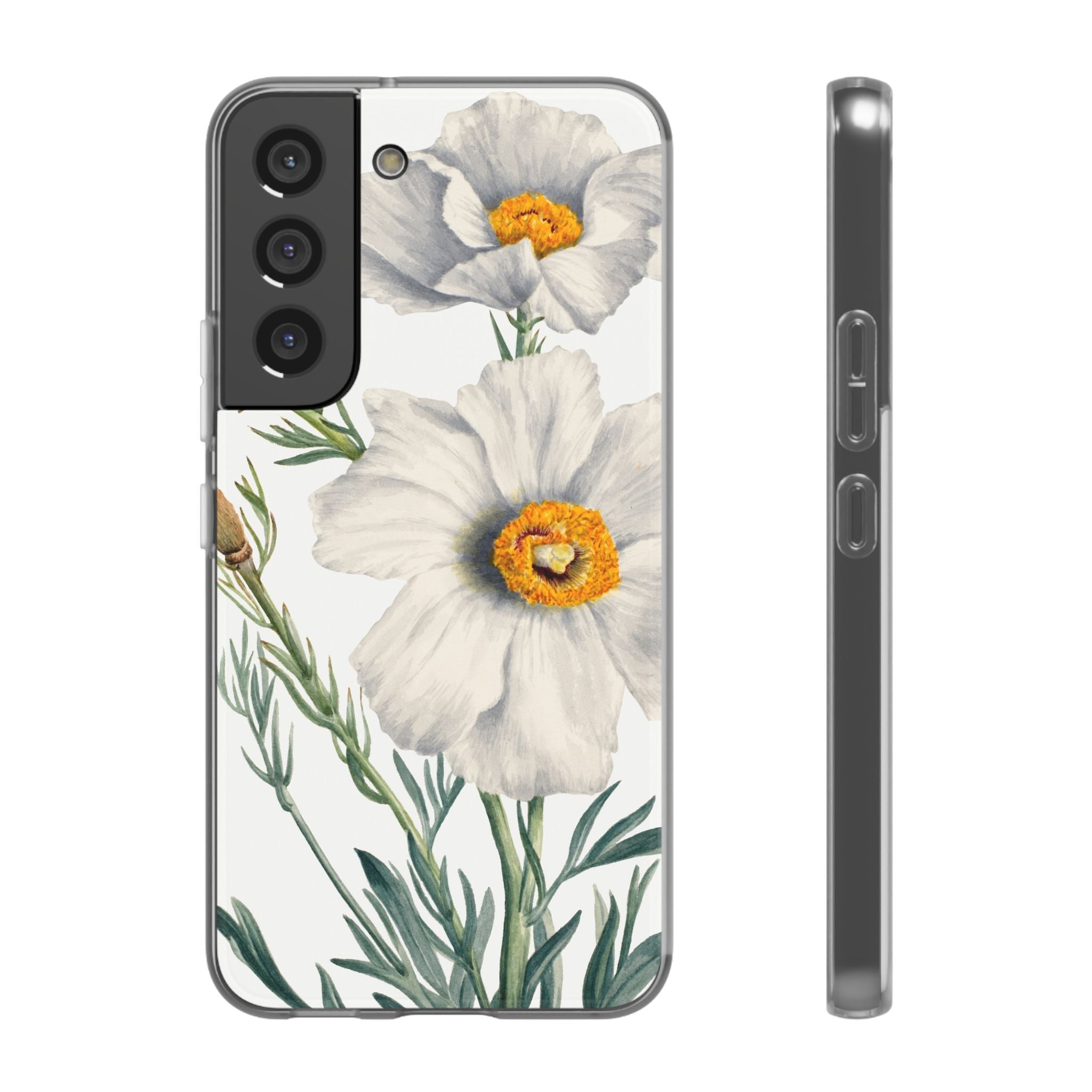 Matilija Poppy by Mary Vaux Walcott - Flexi Case