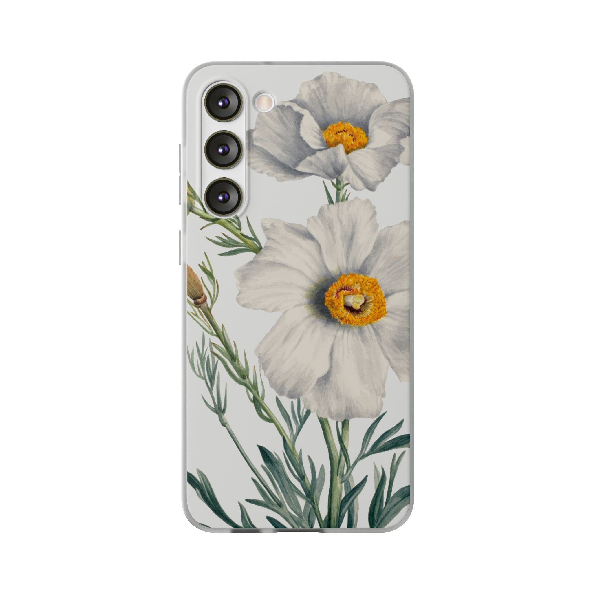 Matilija Poppy by Mary Vaux Walcott - Flexi Case