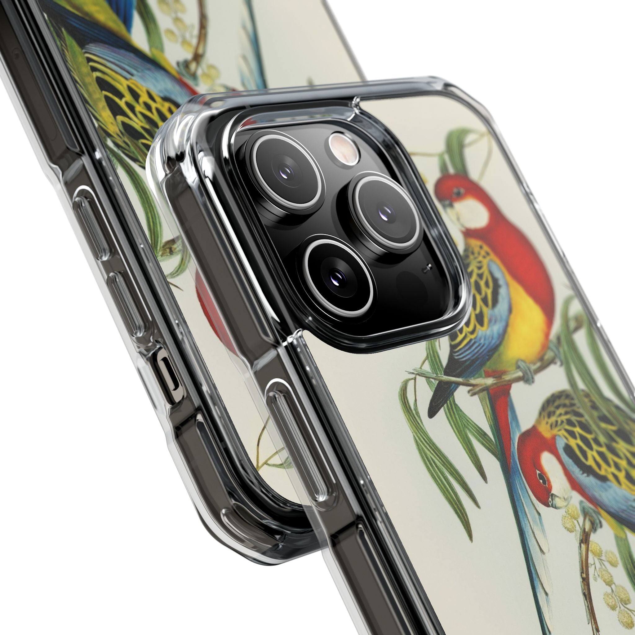 Rosehill Parakeet by Elizabeth Gould - Magnetic Clear Impact Case