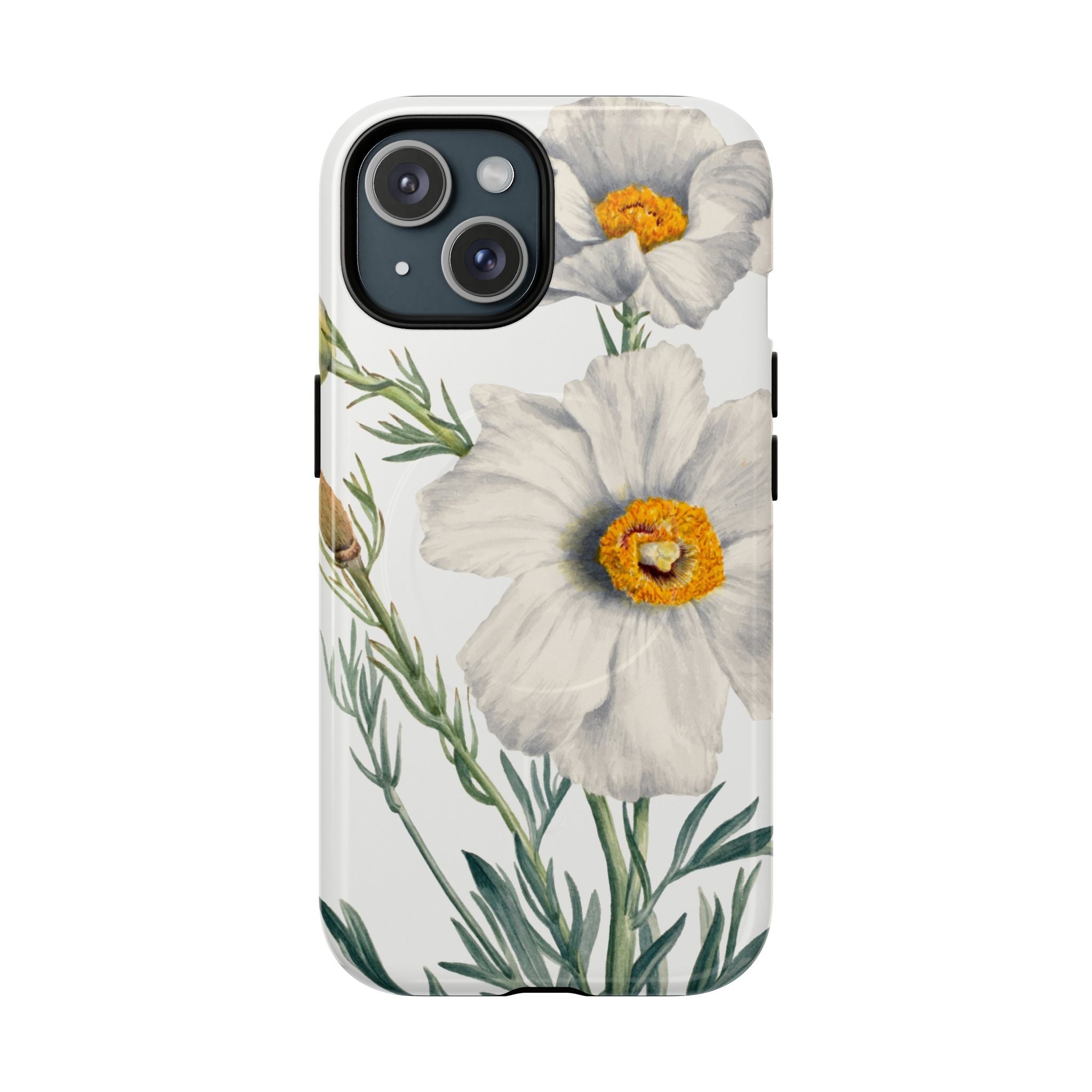 Matilija Poppy by Mary Vaux Walcott - Tough Magnetic Case