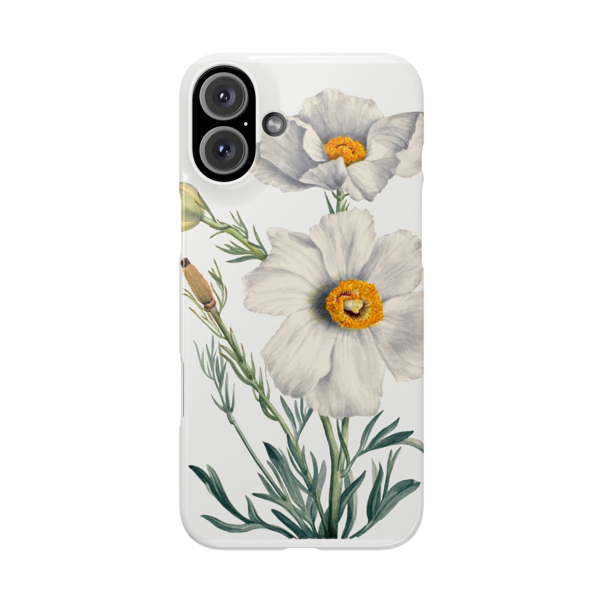 Matilija Poppy by Mary Vaux Walcott - Snap Case