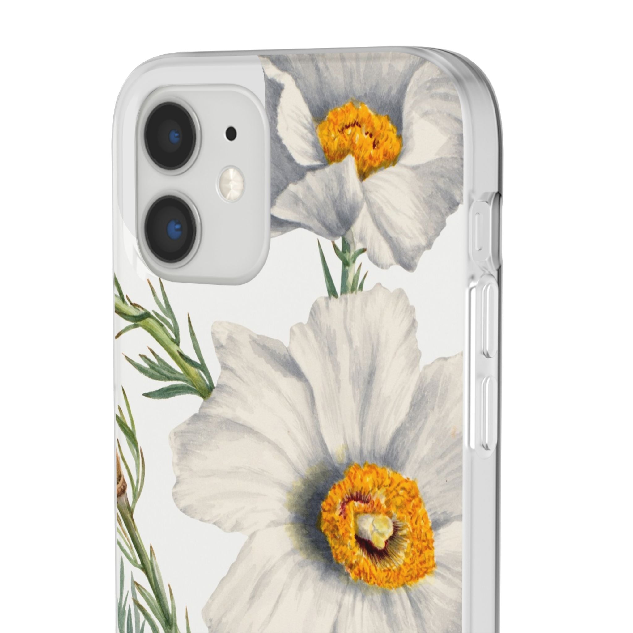 Matilija Poppy by Mary Vaux Walcott - Flexi Case