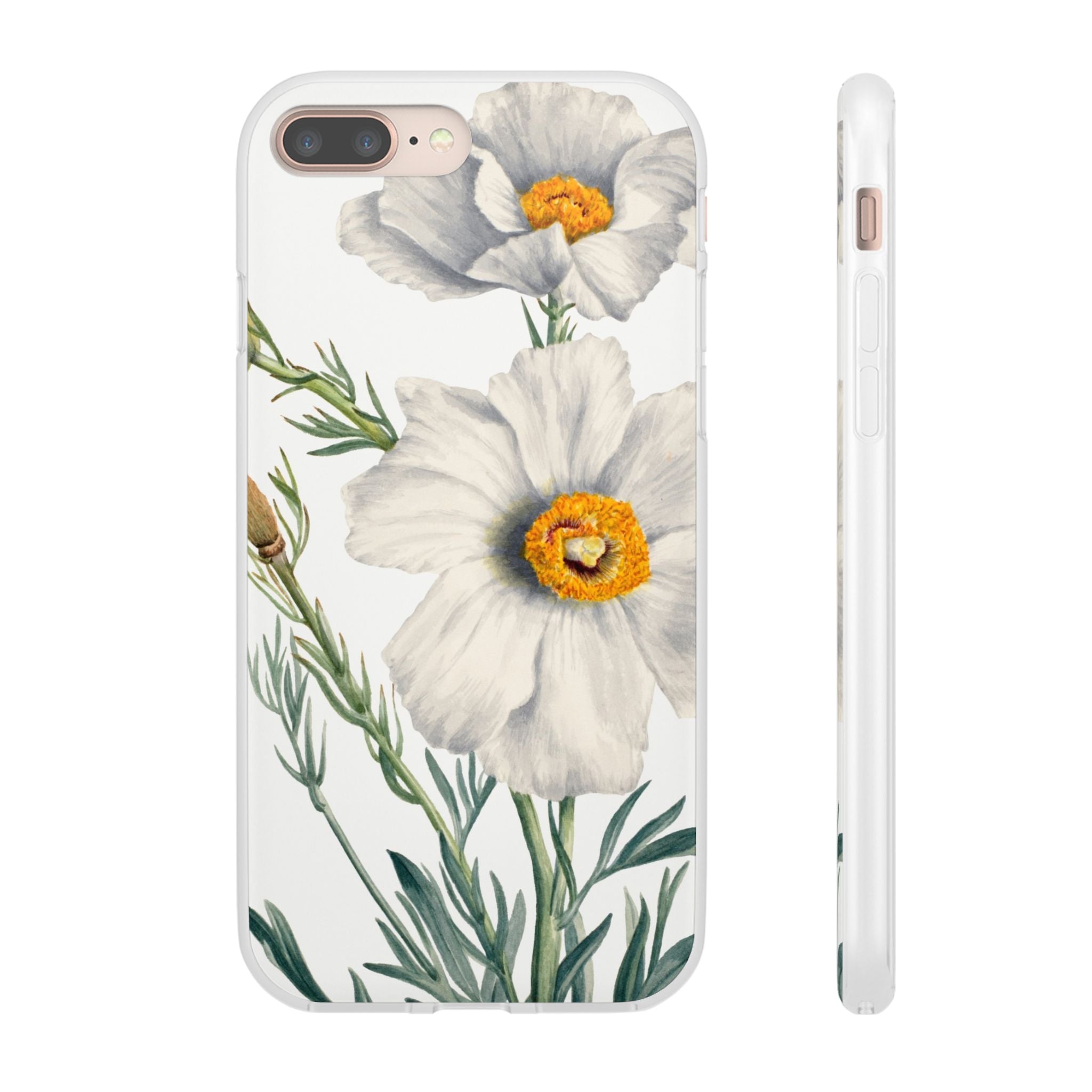 Matilija Poppy by Mary Vaux Walcott - Flexi Case