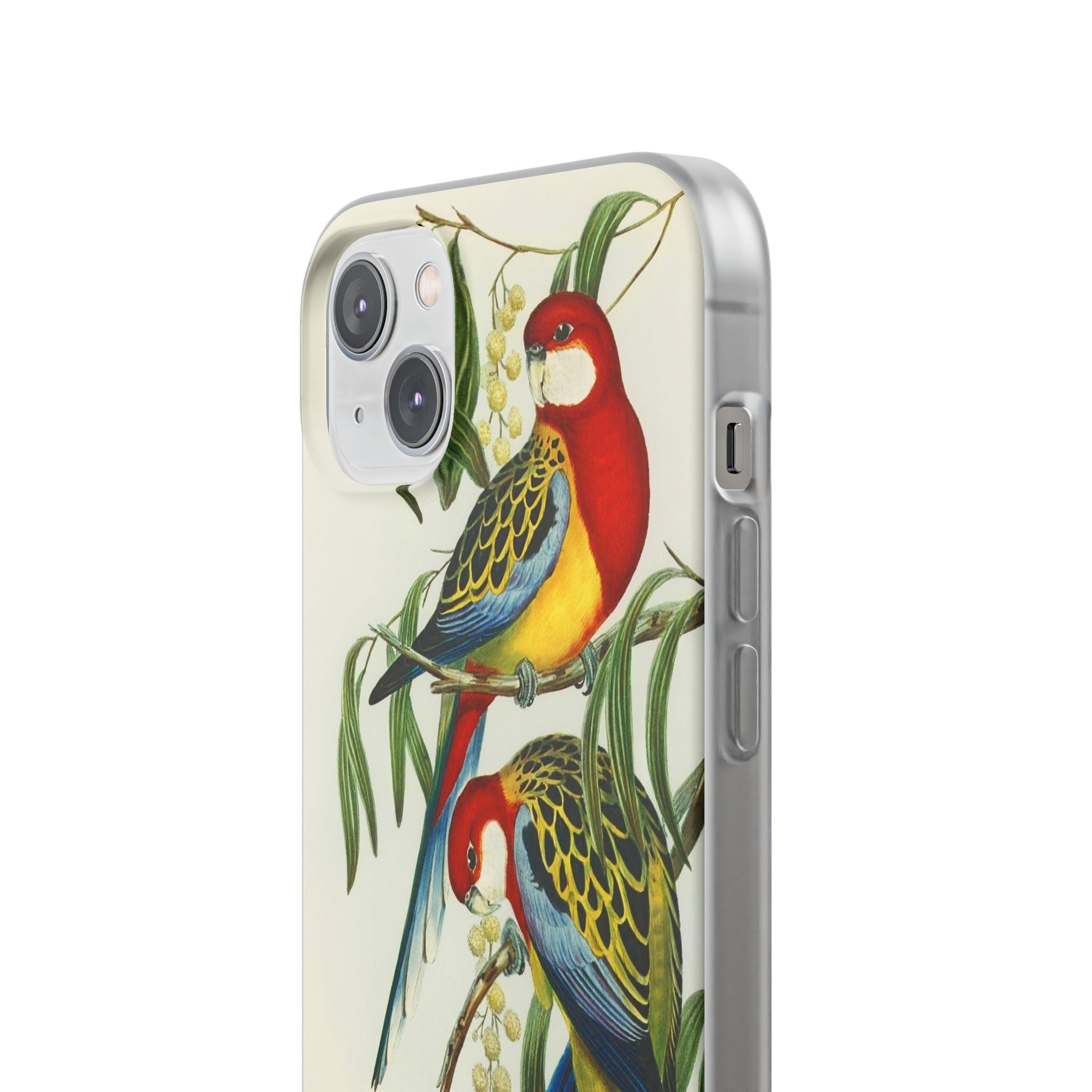 Rosehill Parakeet by Elizabeth Gould - Flexi Case