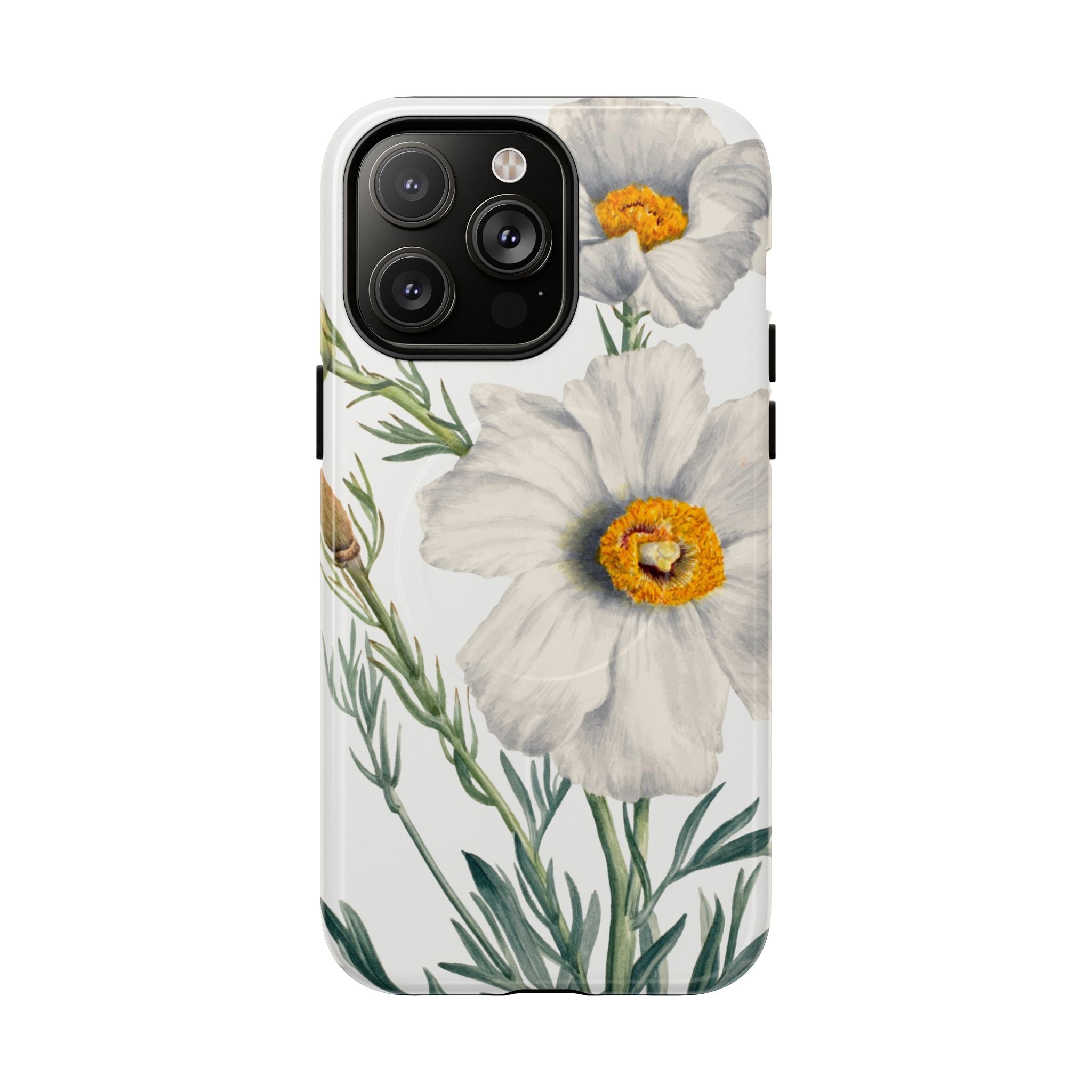 Matilija Poppy by Mary Vaux Walcott - Tough Magnetic Case