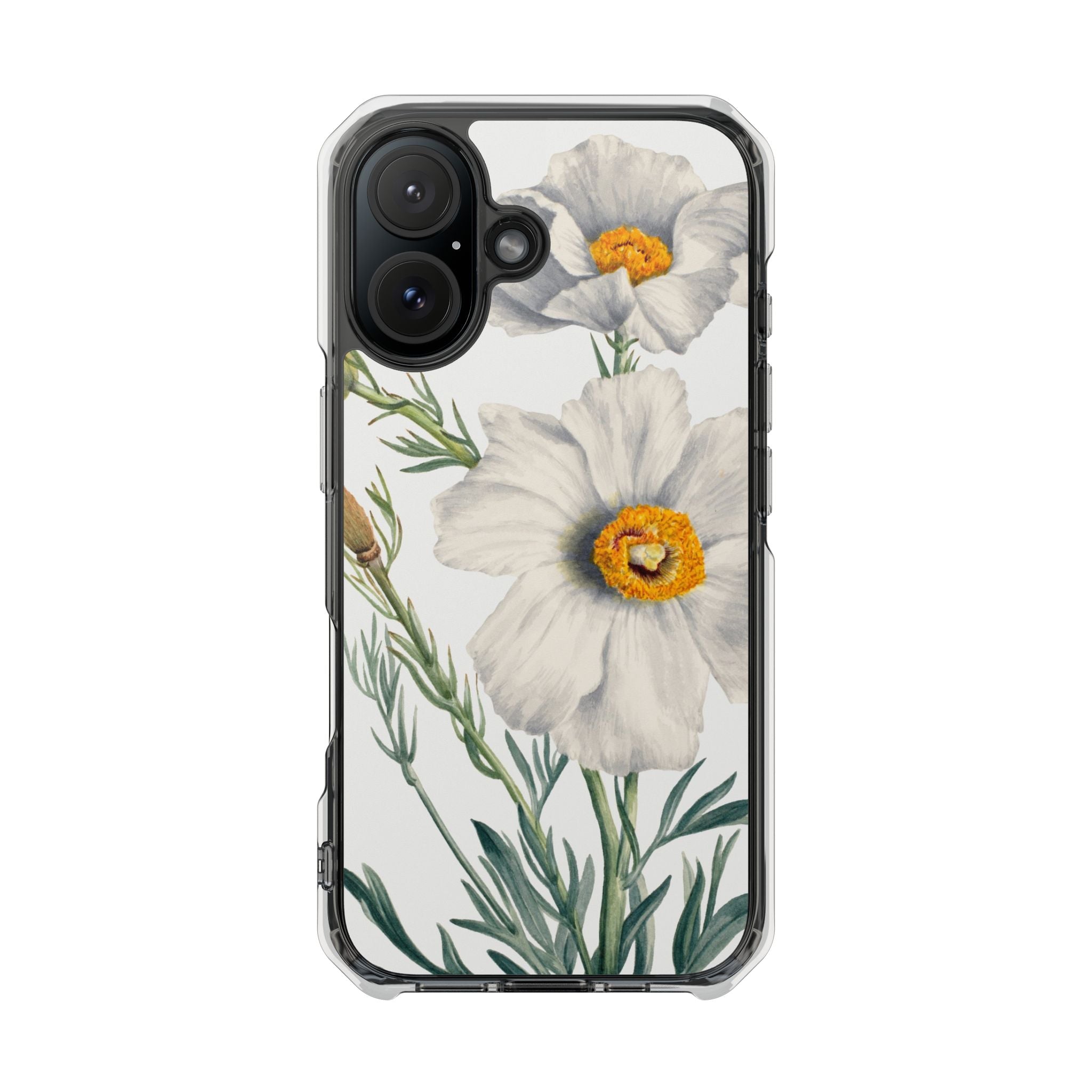 Matilija Poppy by Mary Vaux Walcott - Magnetic Clear Impact Case