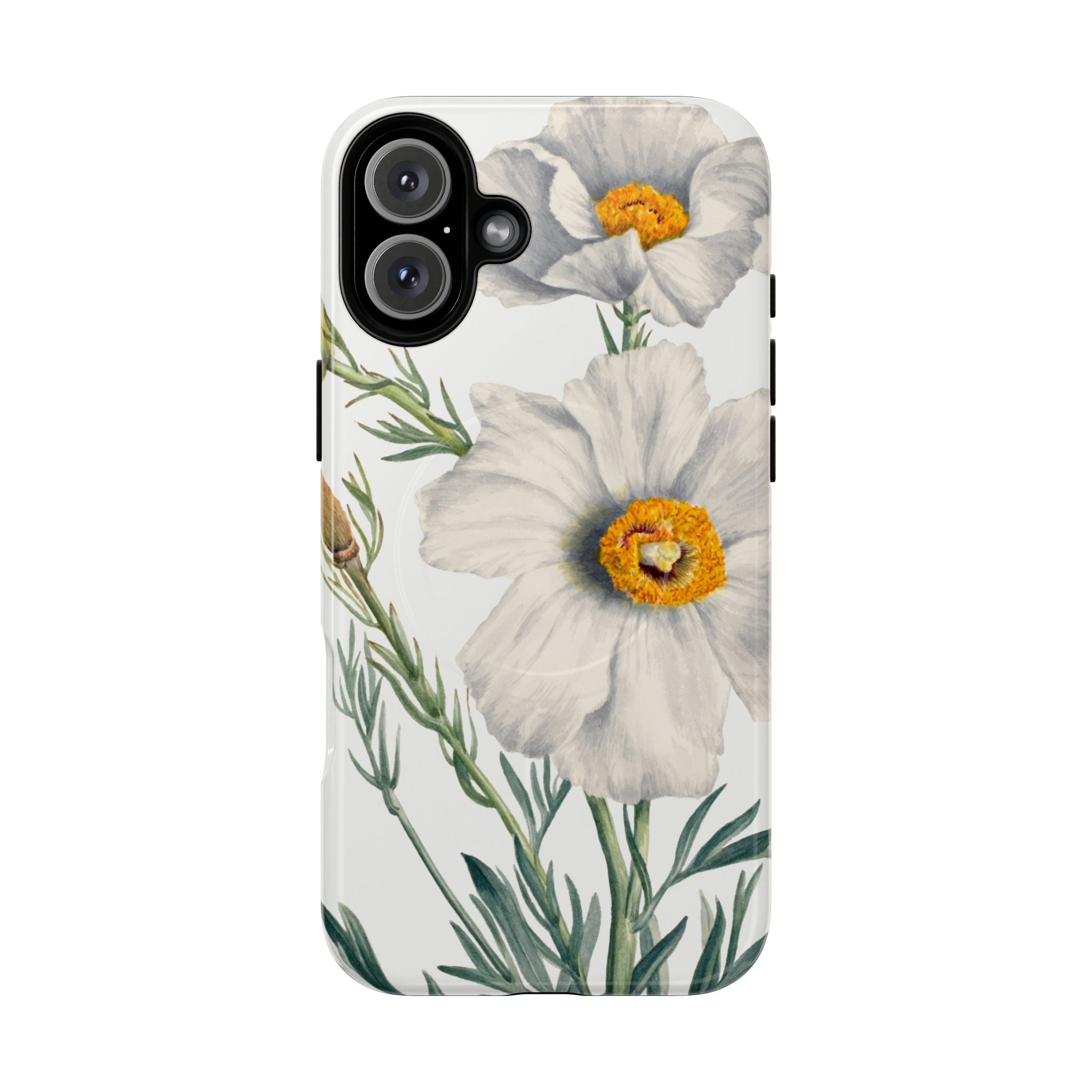 Matilija Poppy by Mary Vaux Walcott - Tough Magnetic Case