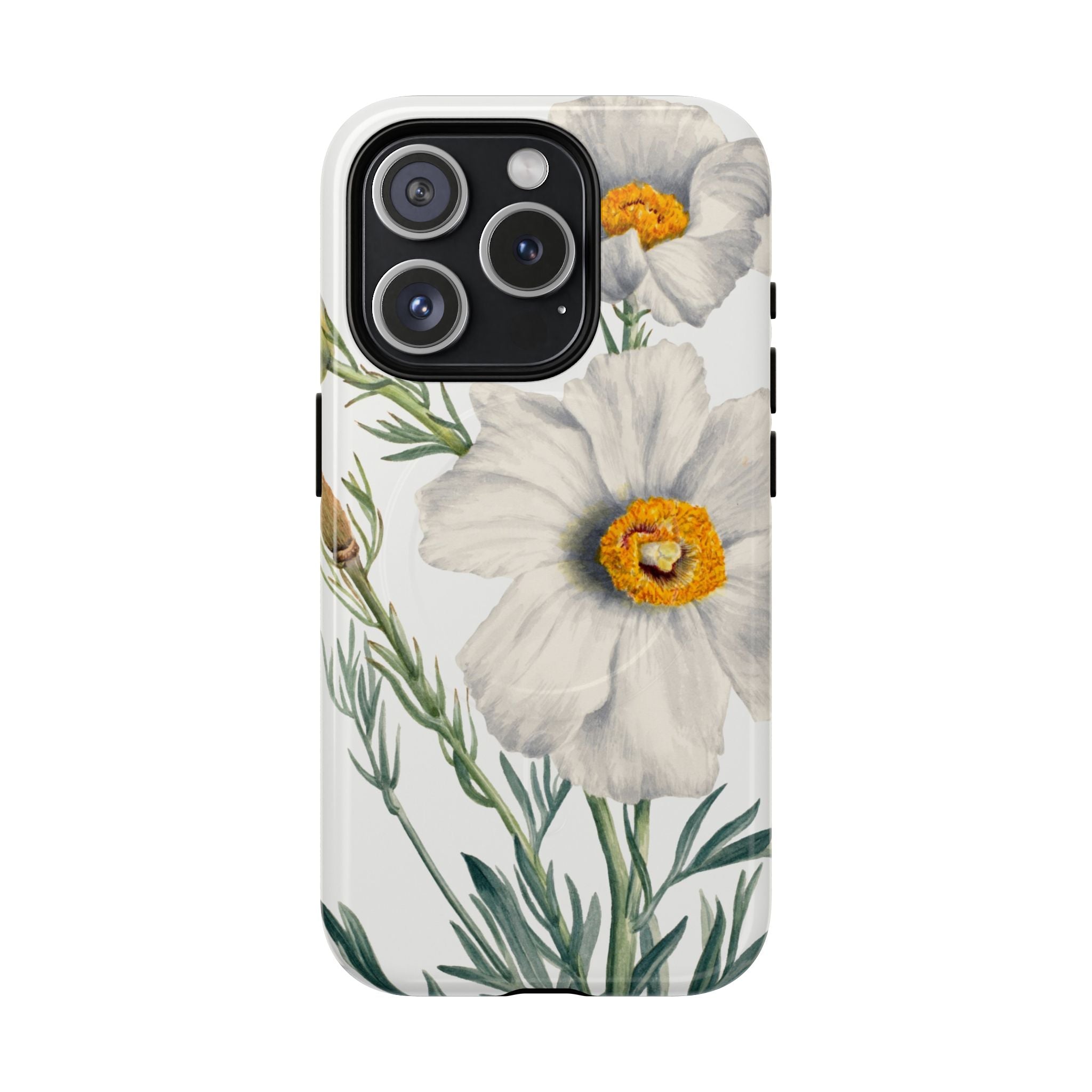 Matilija Poppy by Mary Vaux Walcott - Tough Magnetic Case