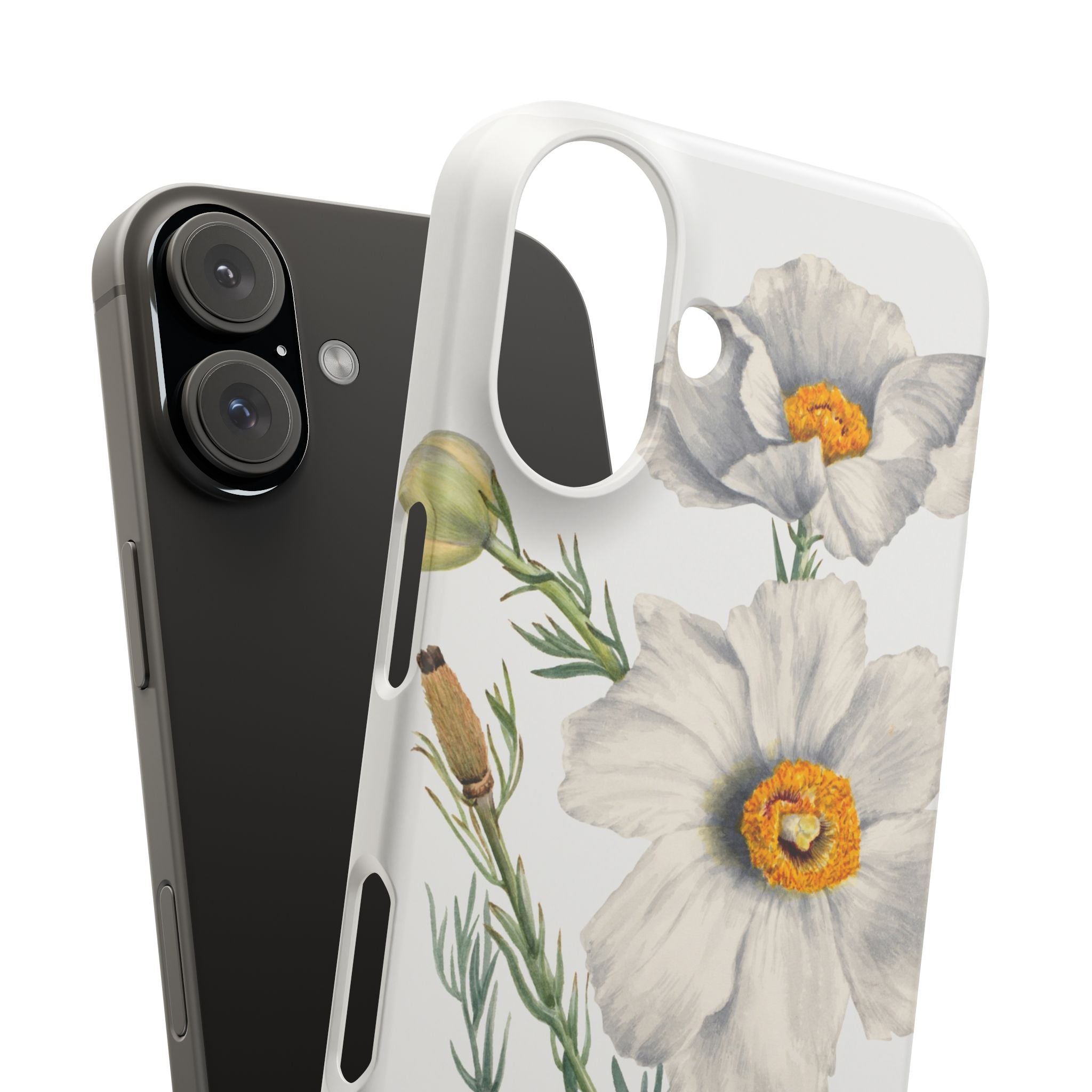 Matilija Poppy by Mary Vaux Walcott - Snap Case