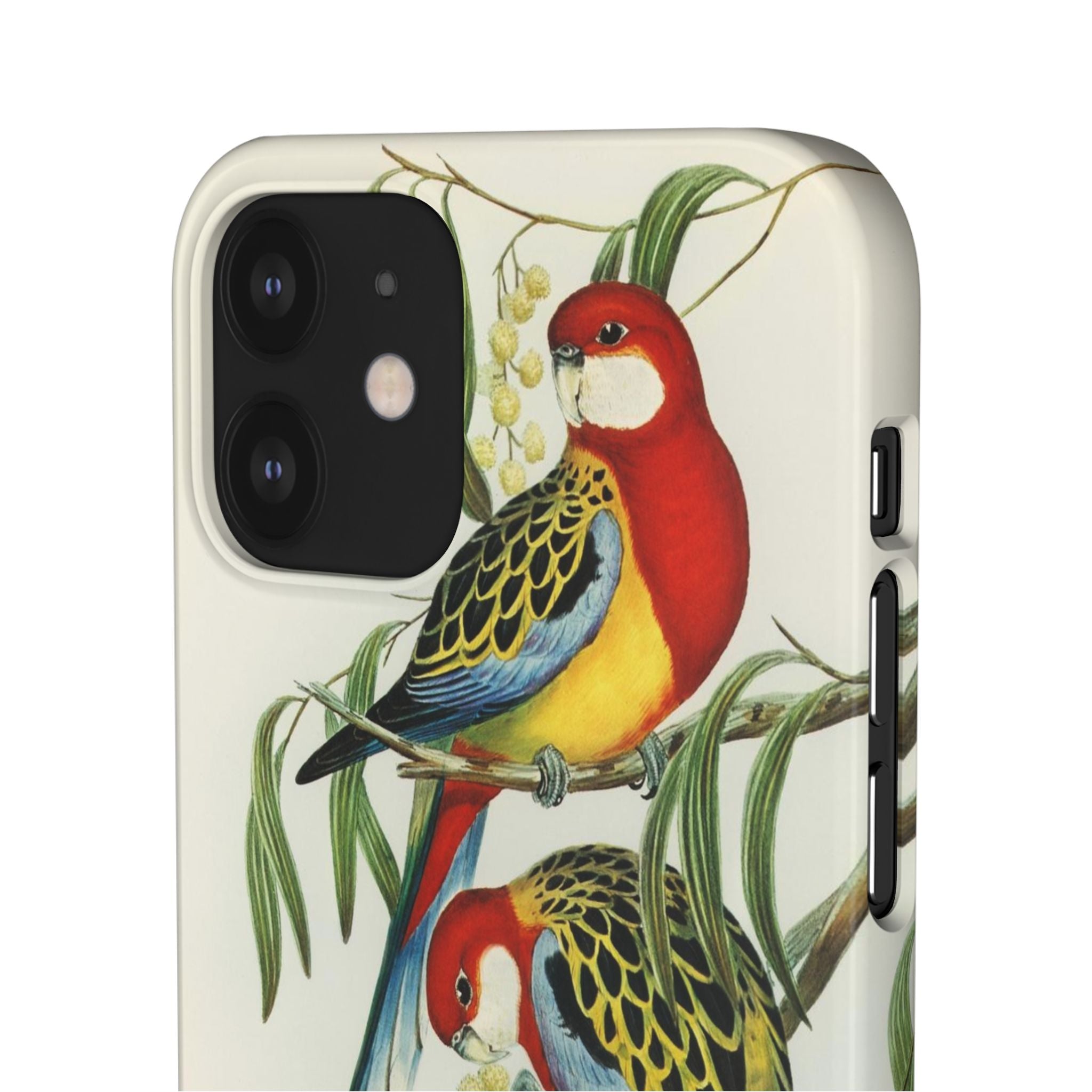 Rosehill Parakeet by Elizabeth Gould - Snap Case