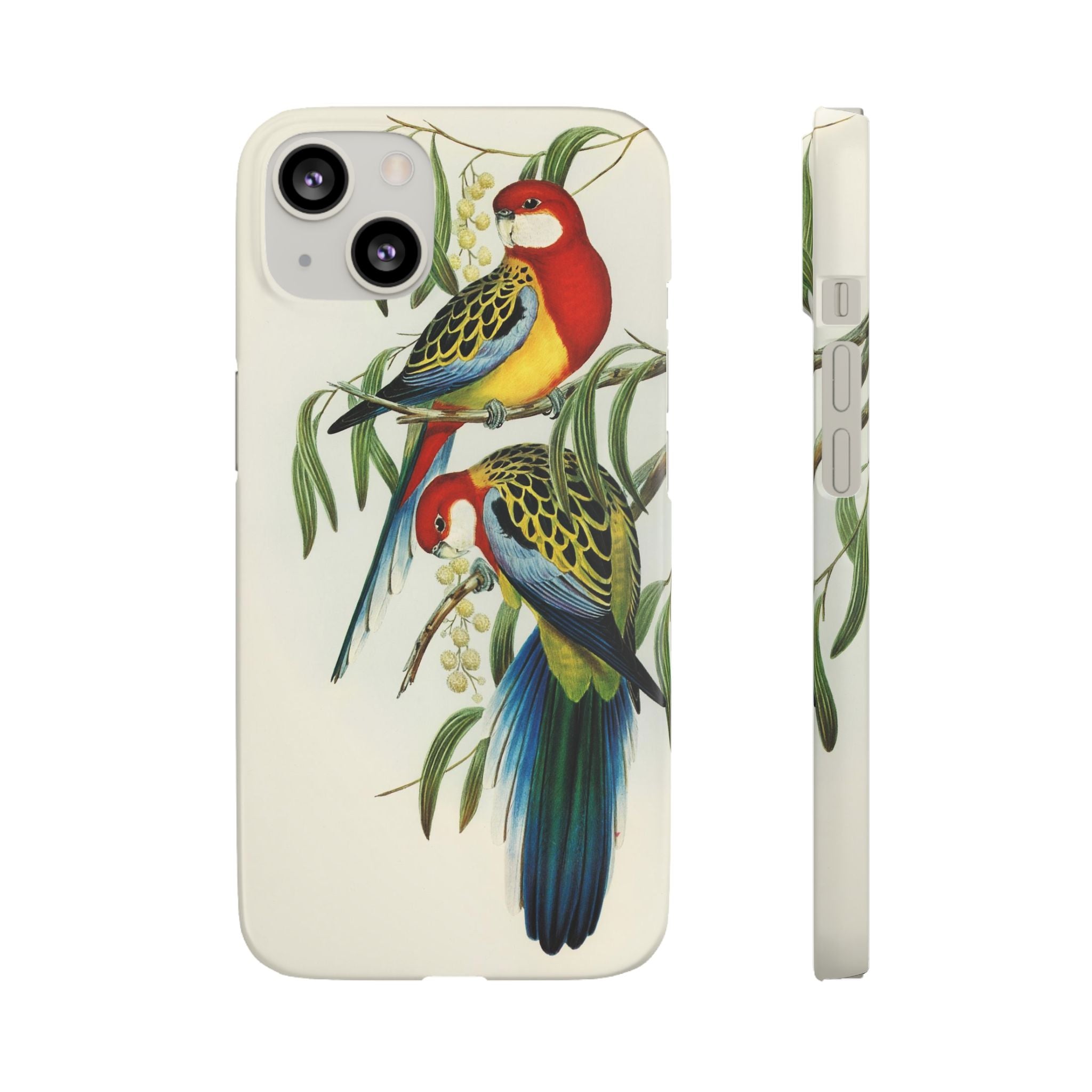 Rosehill Parakeet by Elizabeth Gould - Snap Case