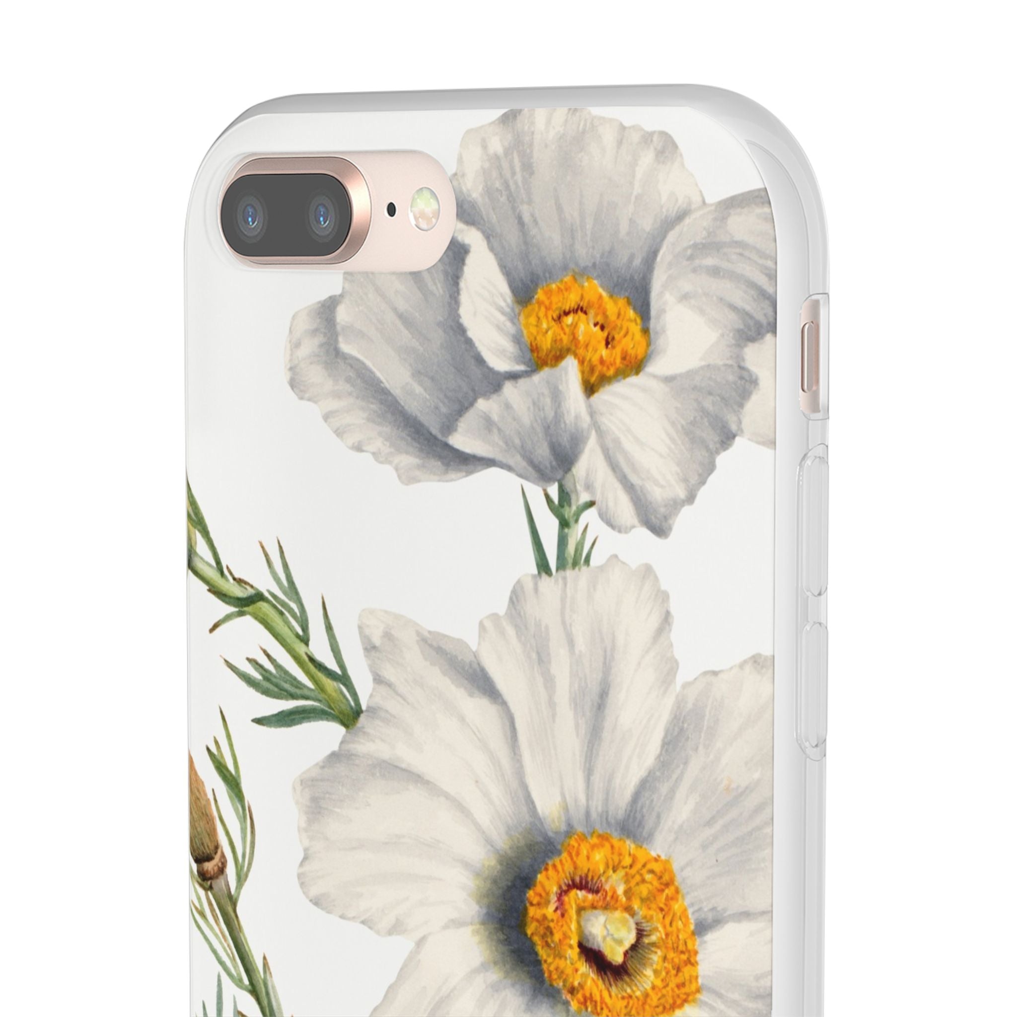 Matilija Poppy by Mary Vaux Walcott - Flexi Case