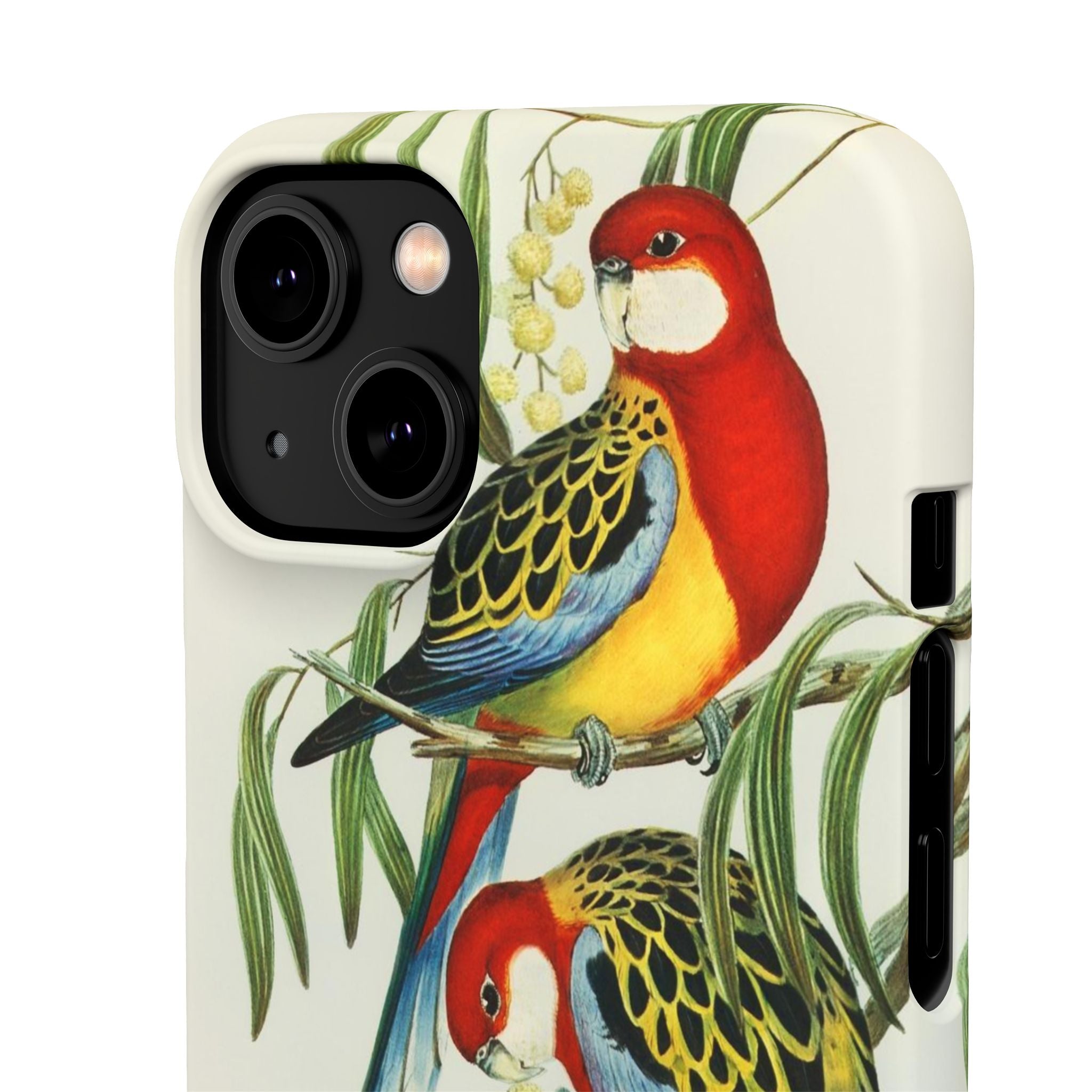 Rosehill Parakeet by Elizabeth Gould - Snap Case