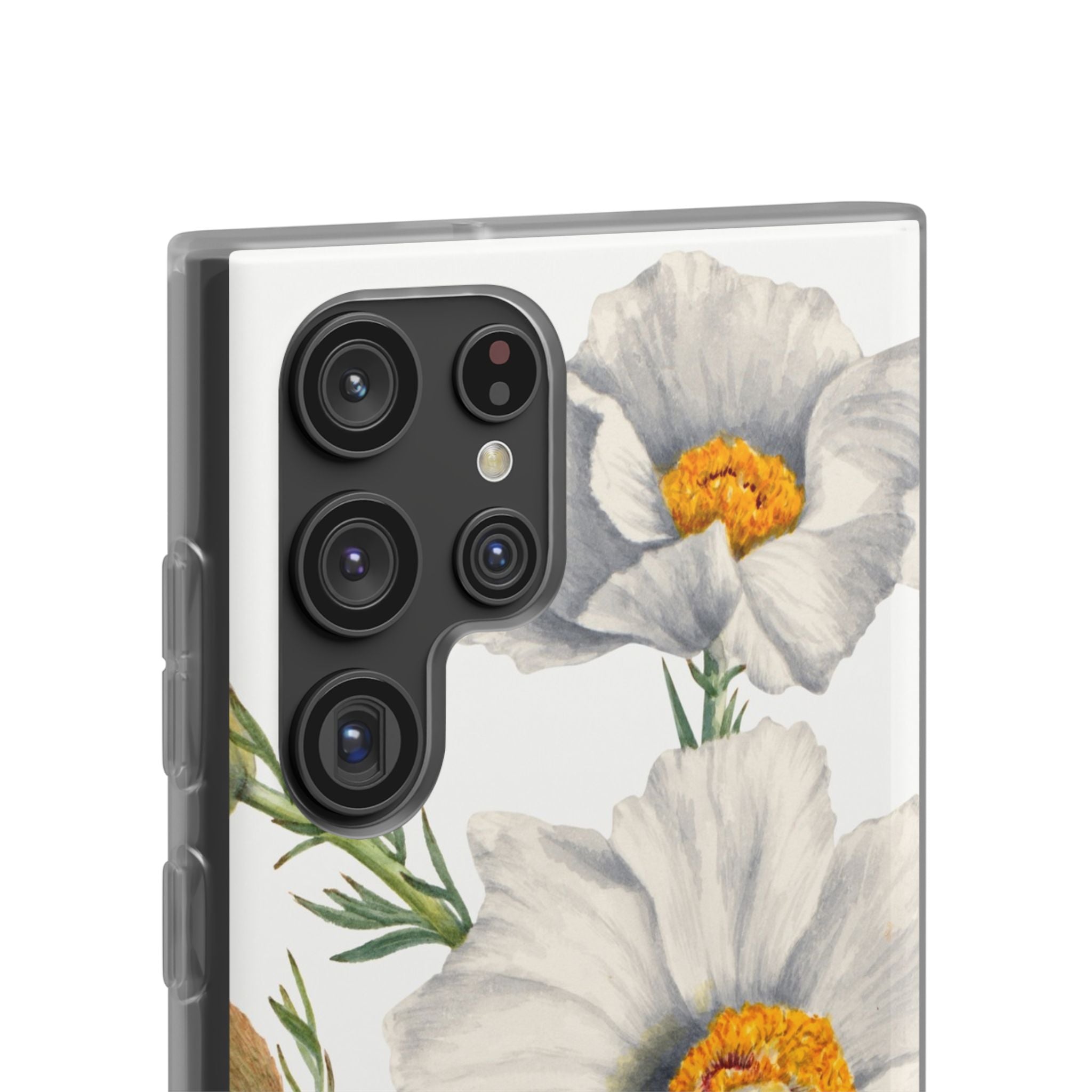 Matilija Poppy by Mary Vaux Walcott - Flexi Case