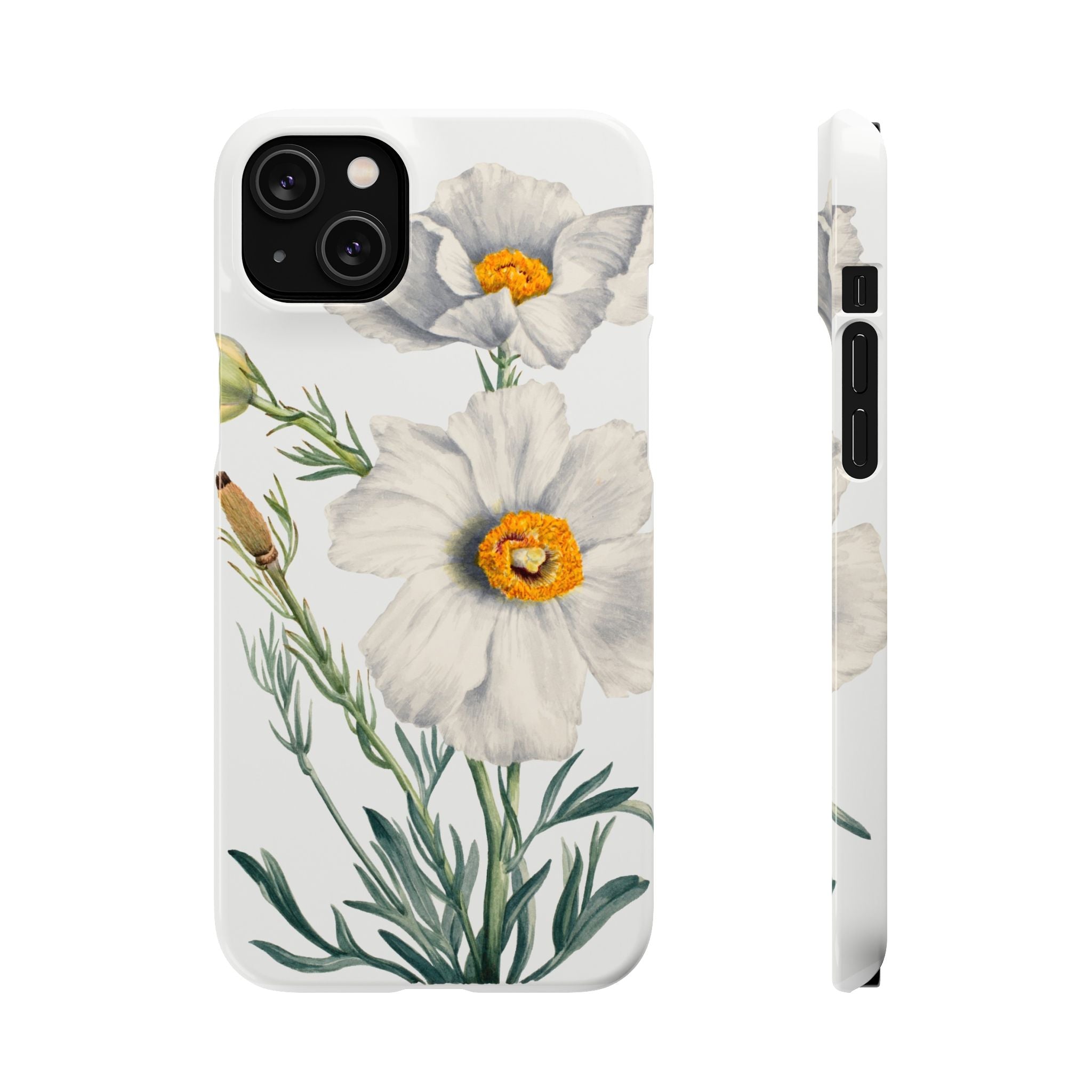 Matilija Poppy by Mary Vaux Walcott - Snap Case