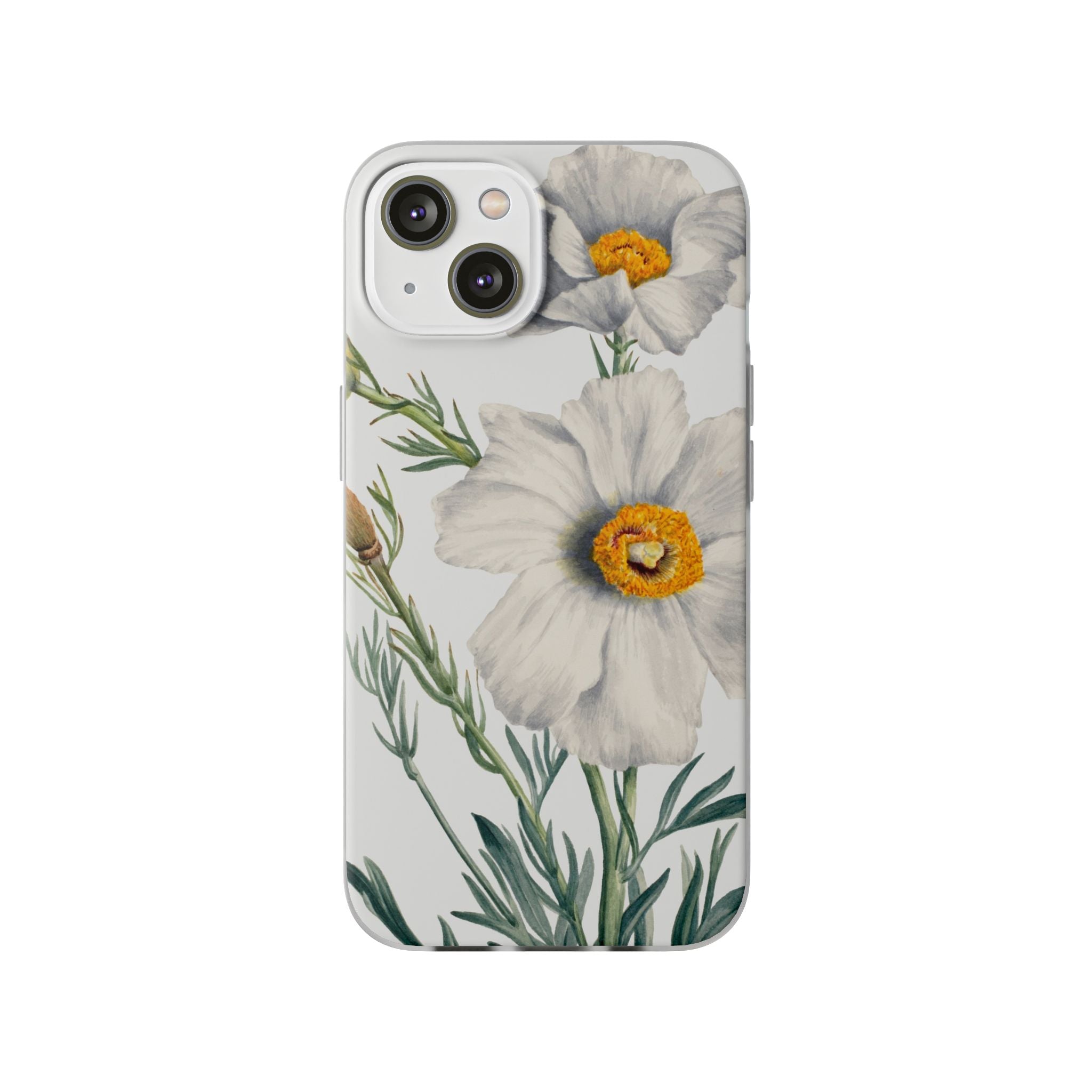 Matilija Poppy by Mary Vaux Walcott - Flexi Case