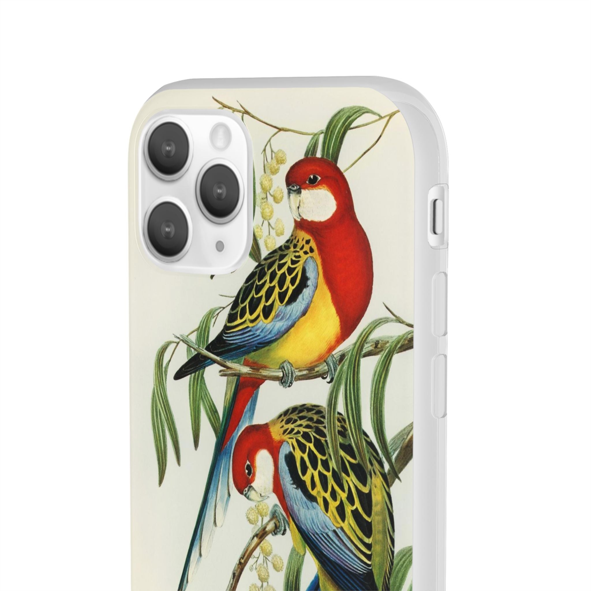 Rosehill Parakeet by Elizabeth Gould - Flexi Case