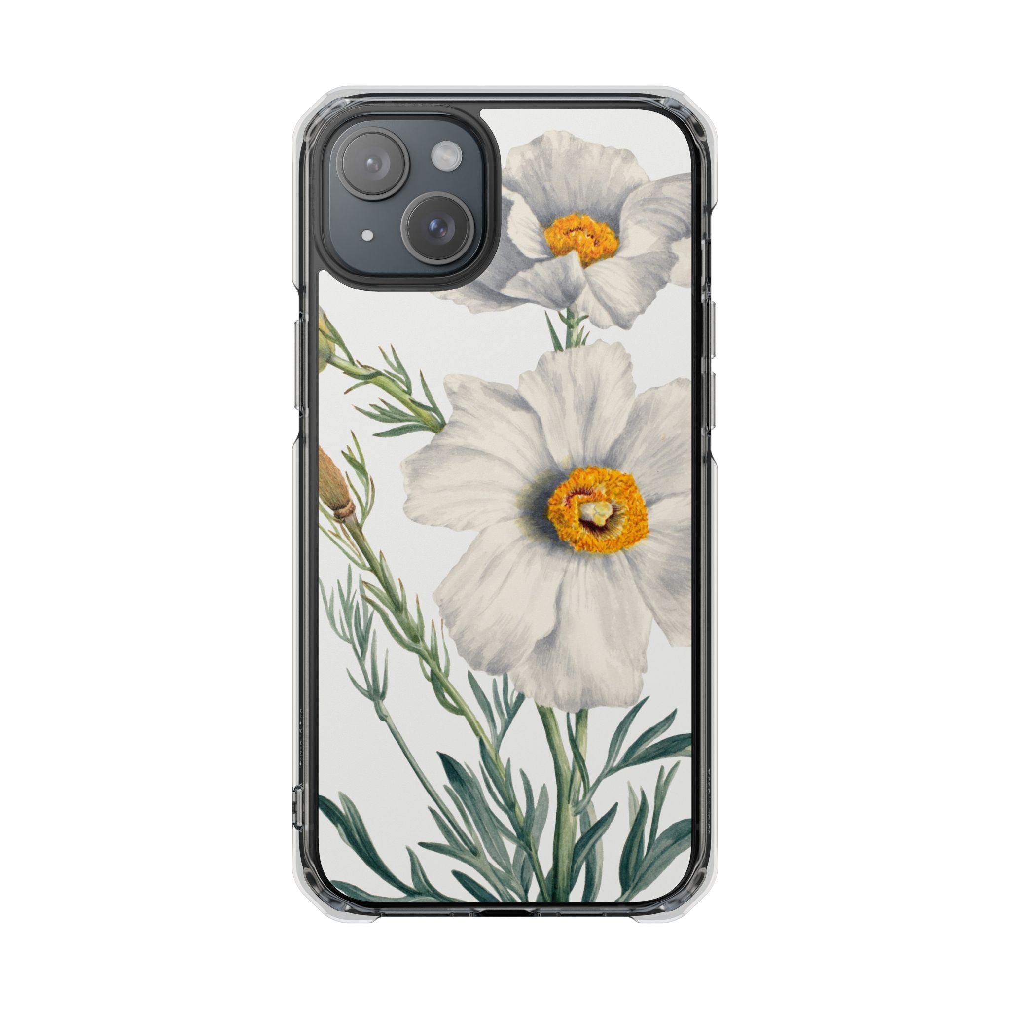 Matilija Poppy by Mary Vaux Walcott - Magnetic Clear Impact Case