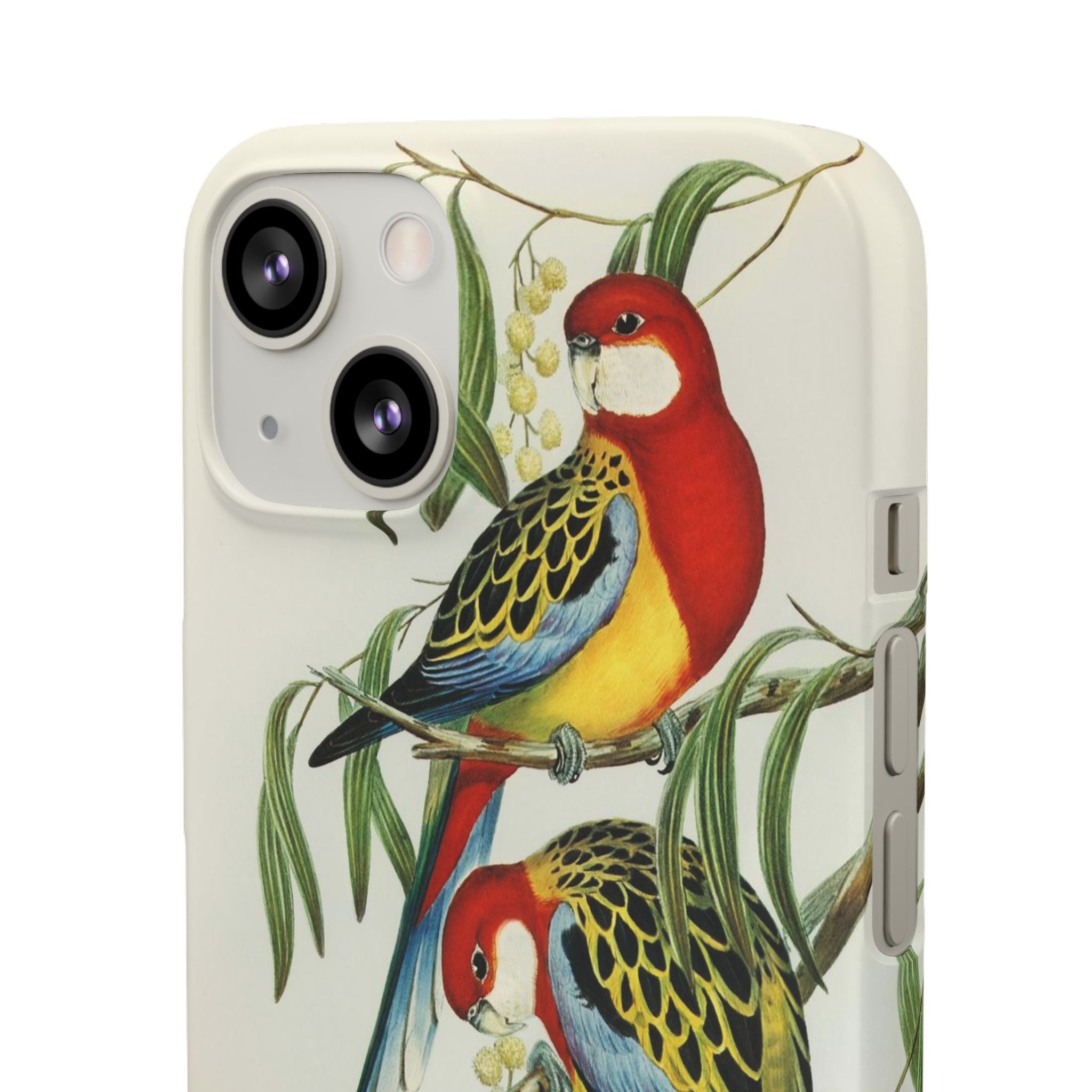 Rosehill Parakeet by Elizabeth Gould - Snap Case