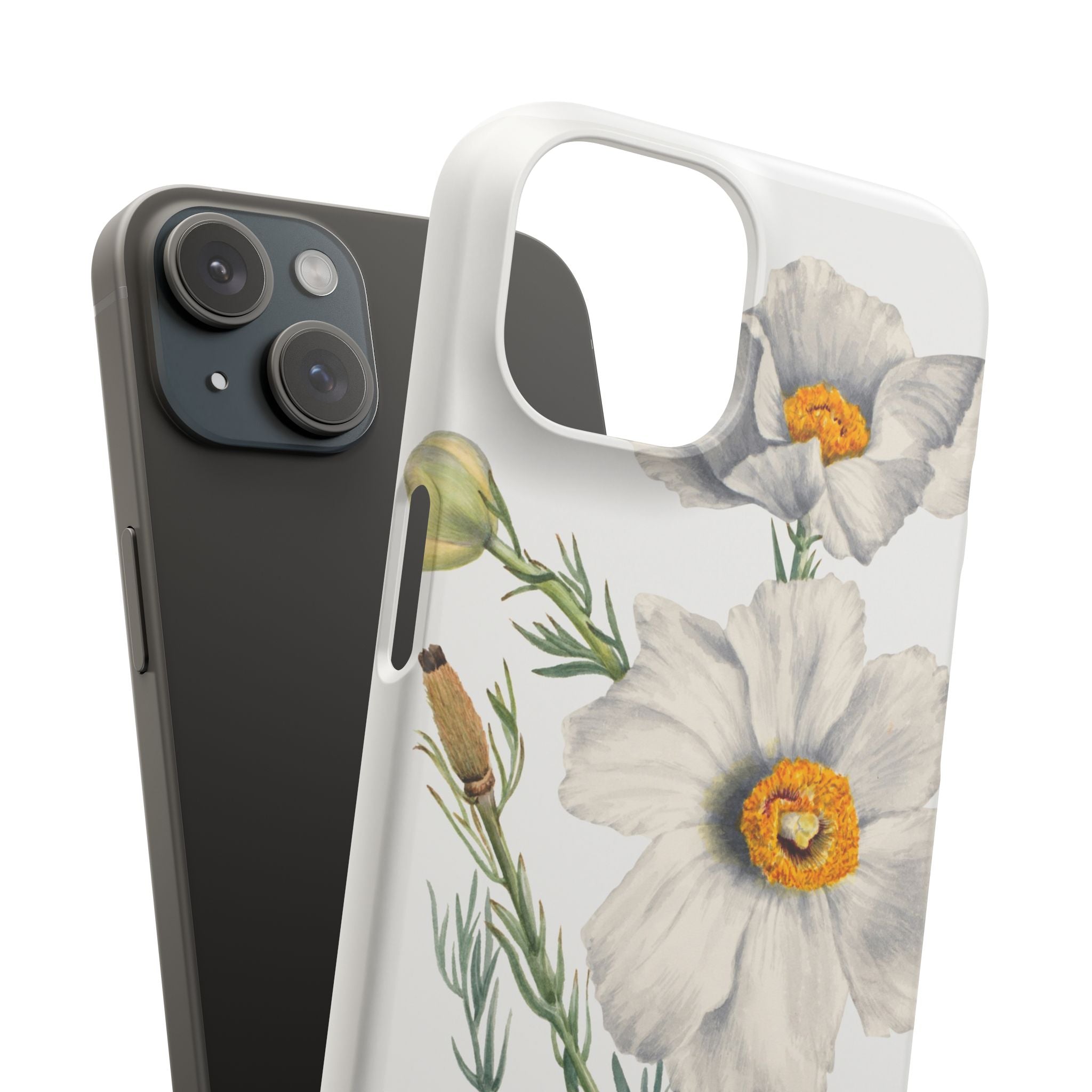 Matilija Poppy by Mary Vaux Walcott - Snap Case