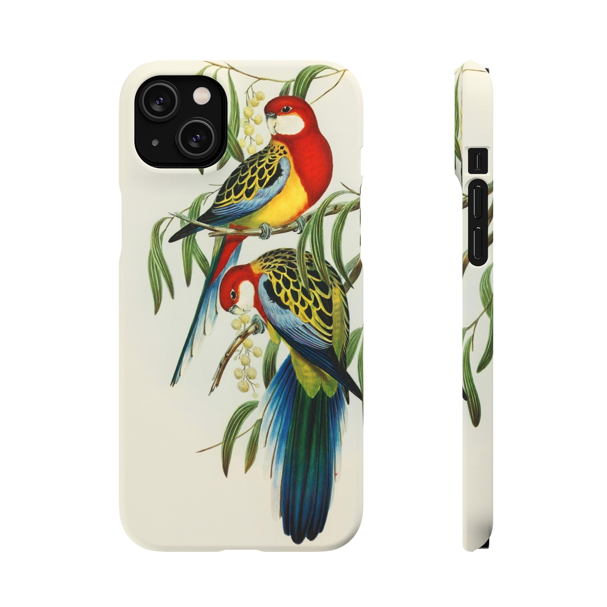 Rosehill Parakeet by Elizabeth Gould - Snap Case