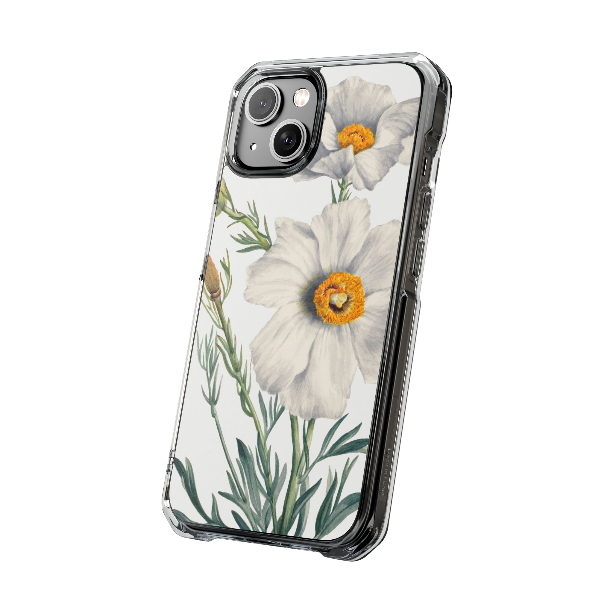 Matilija Poppy by Mary Vaux Walcott - Magnetic Clear Impact Case