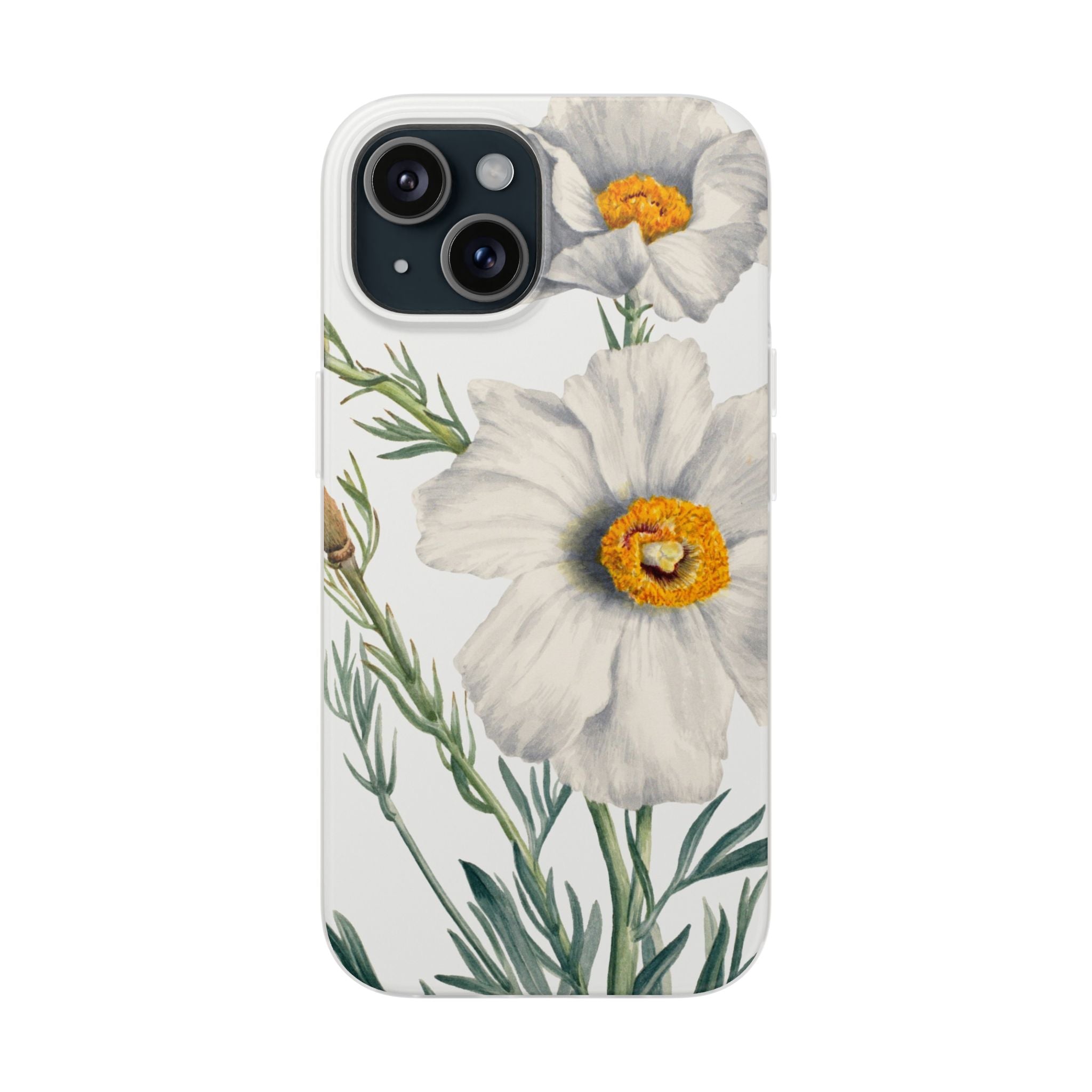 Matilija Poppy by Mary Vaux Walcott - Flexi Case