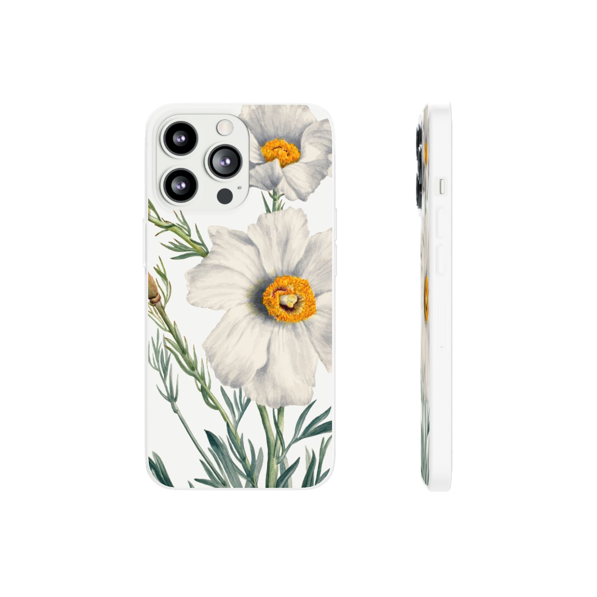 Matilija Poppy by Mary Vaux Walcott - Flexi Case