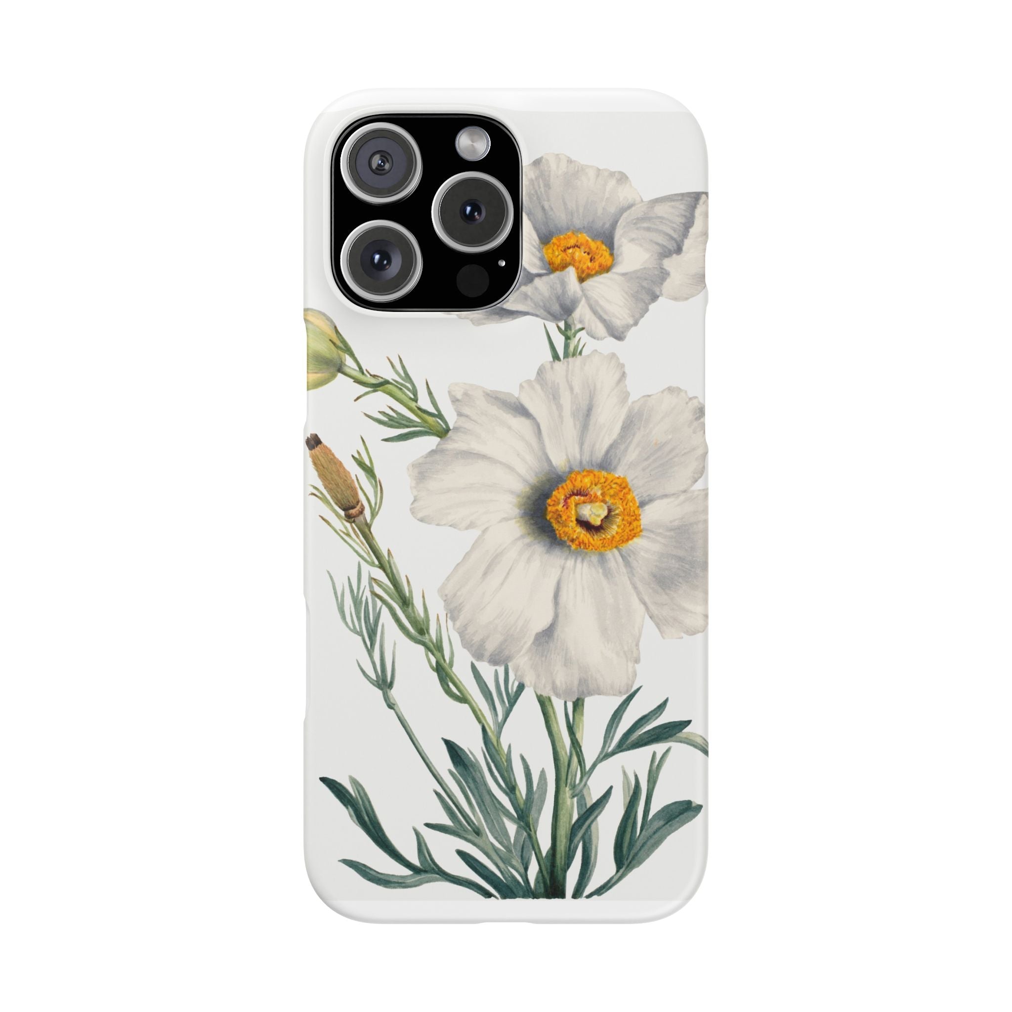 Matilija Poppy by Mary Vaux Walcott - Snap Case