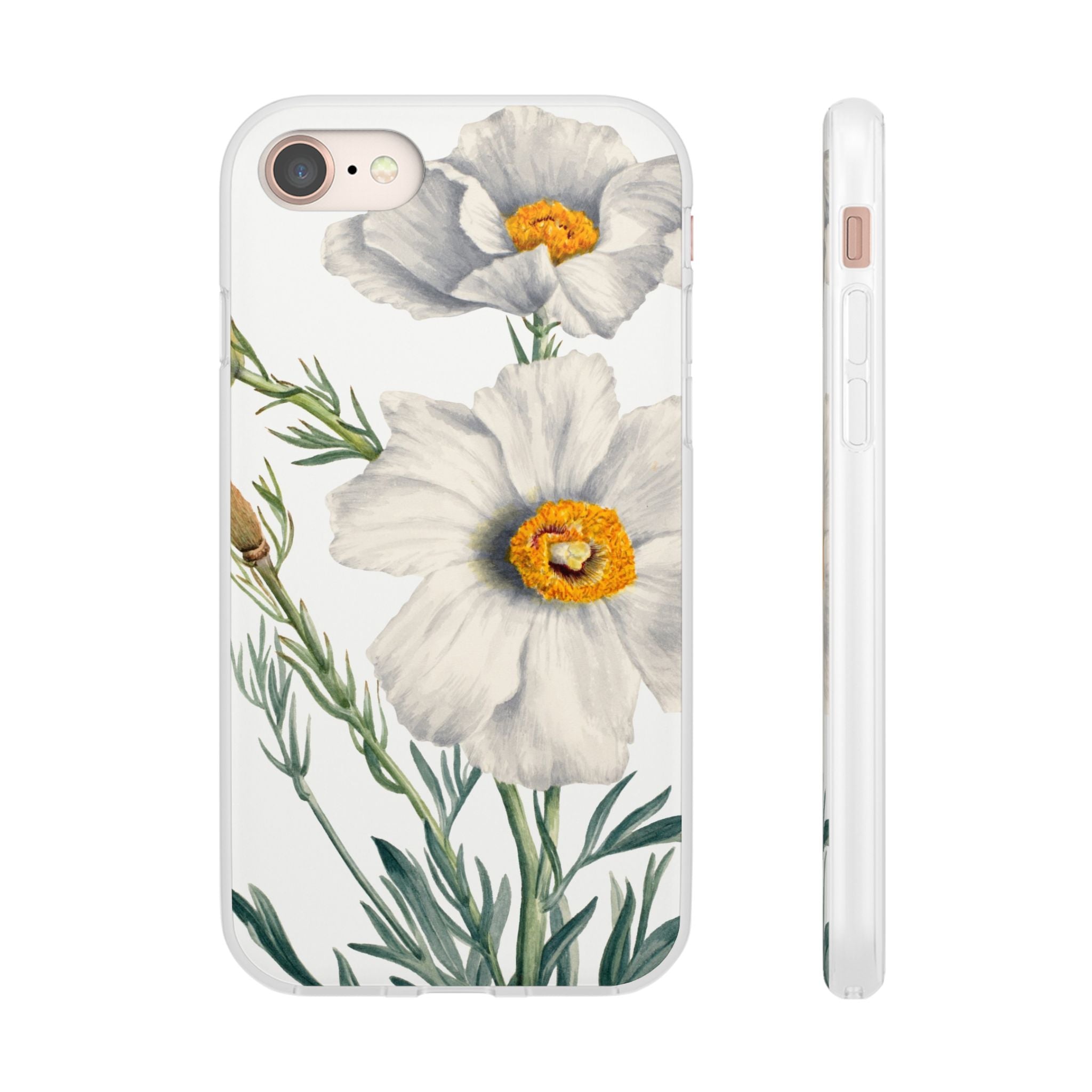 Matilija Poppy by Mary Vaux Walcott - Flexi Case