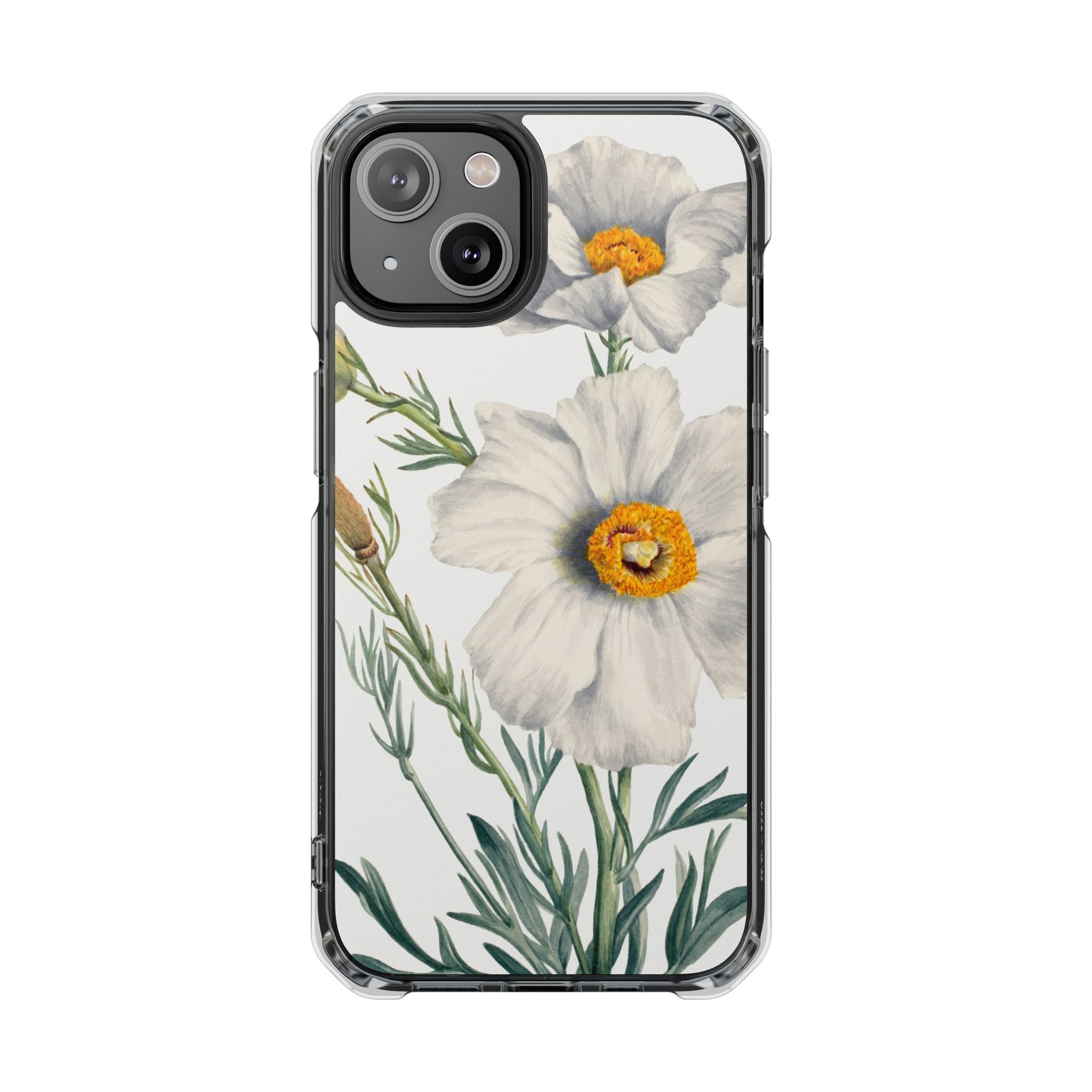 Matilija Poppy by Mary Vaux Walcott - Magnetic Clear Impact Case