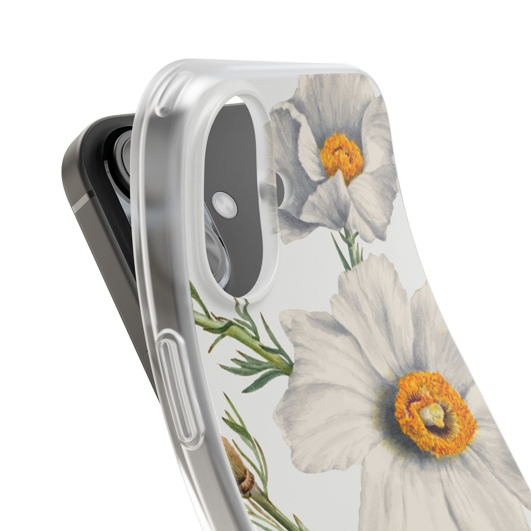 Matilija Poppy by Mary Vaux Walcott - Flexi Case