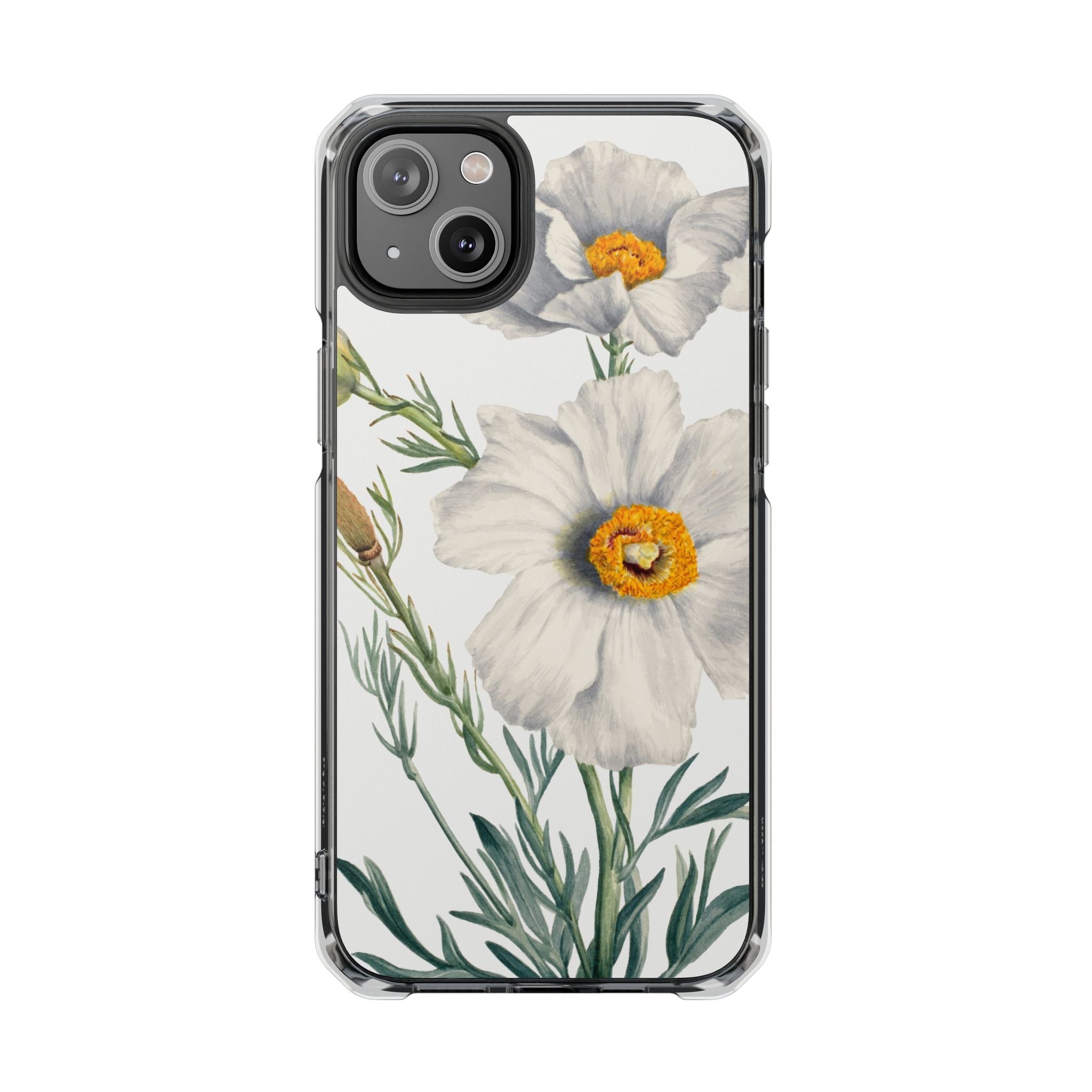 Matilija Poppy by Mary Vaux Walcott - Magnetic Clear Impact Case