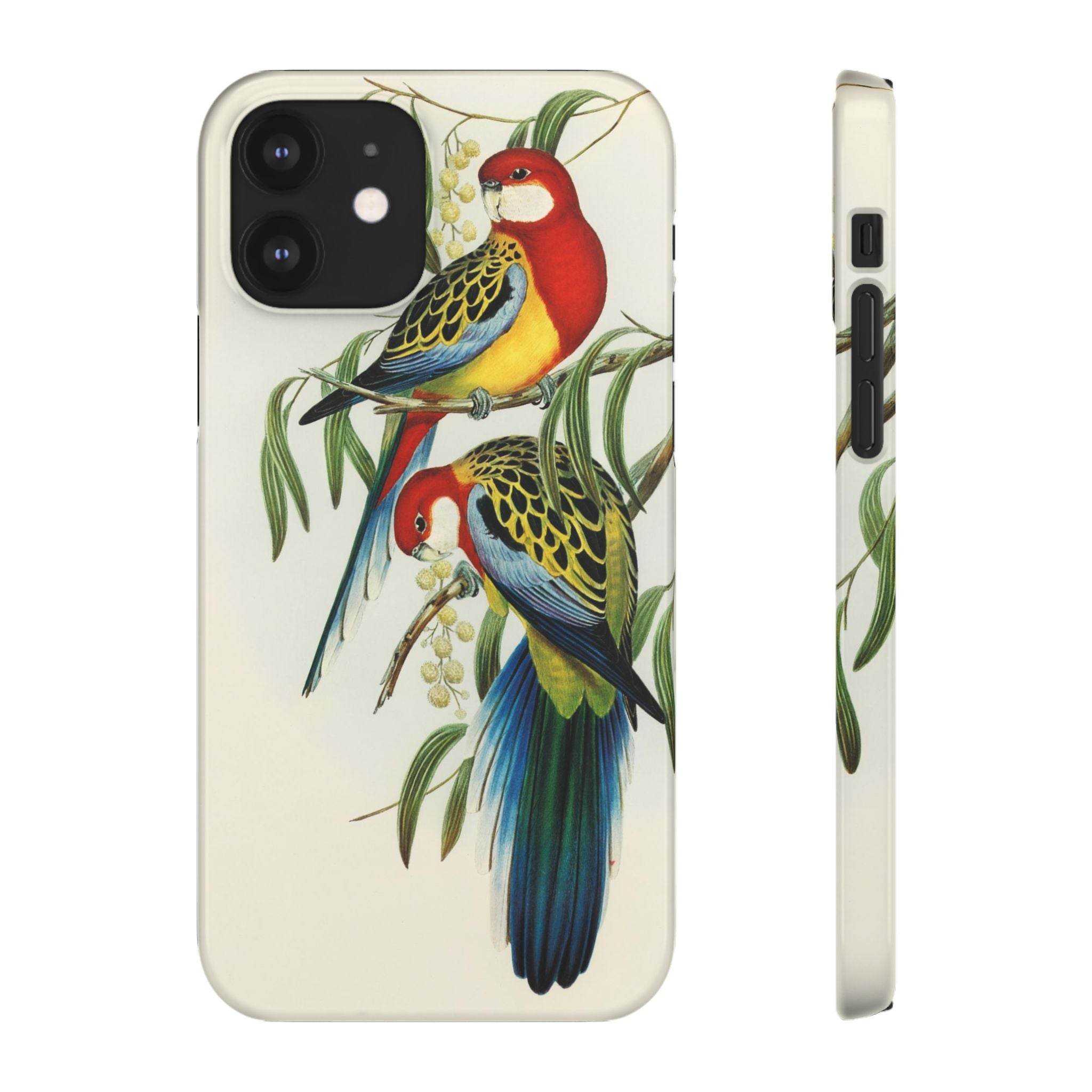 Rosehill Parakeet by Elizabeth Gould - Snap Case