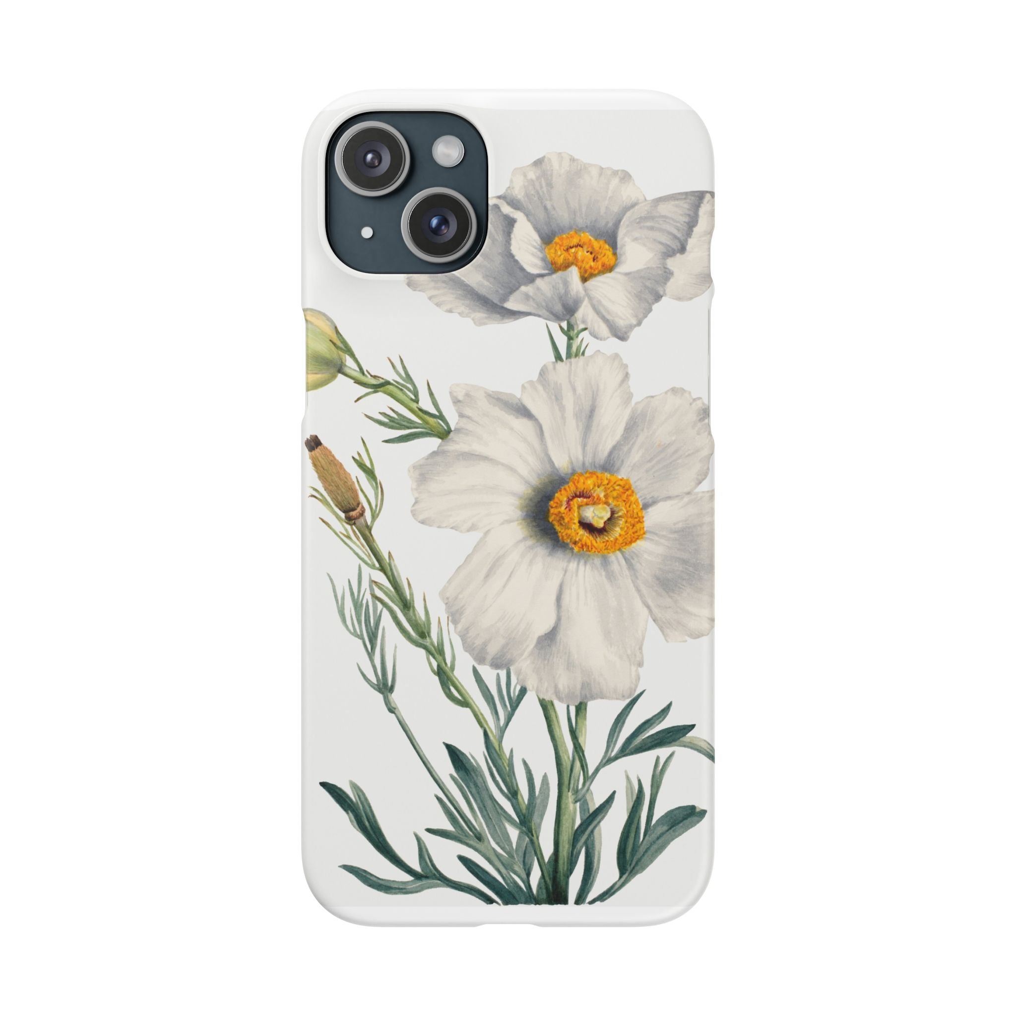 Matilija Poppy by Mary Vaux Walcott - Snap Case